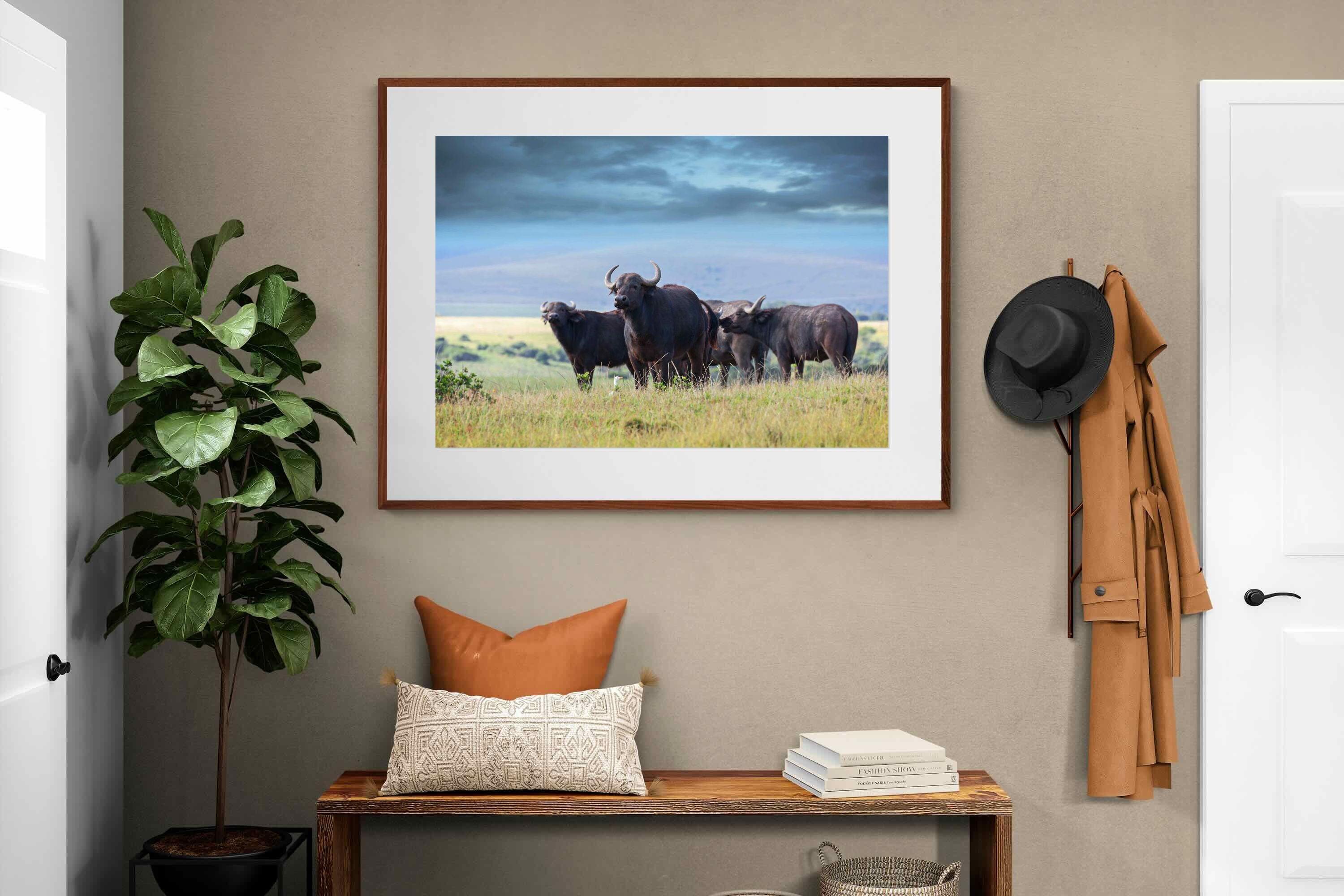 Pixalot ® Buffalo