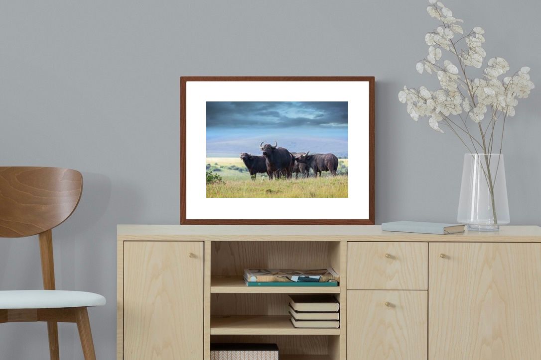 Pixalot ® Buffalo