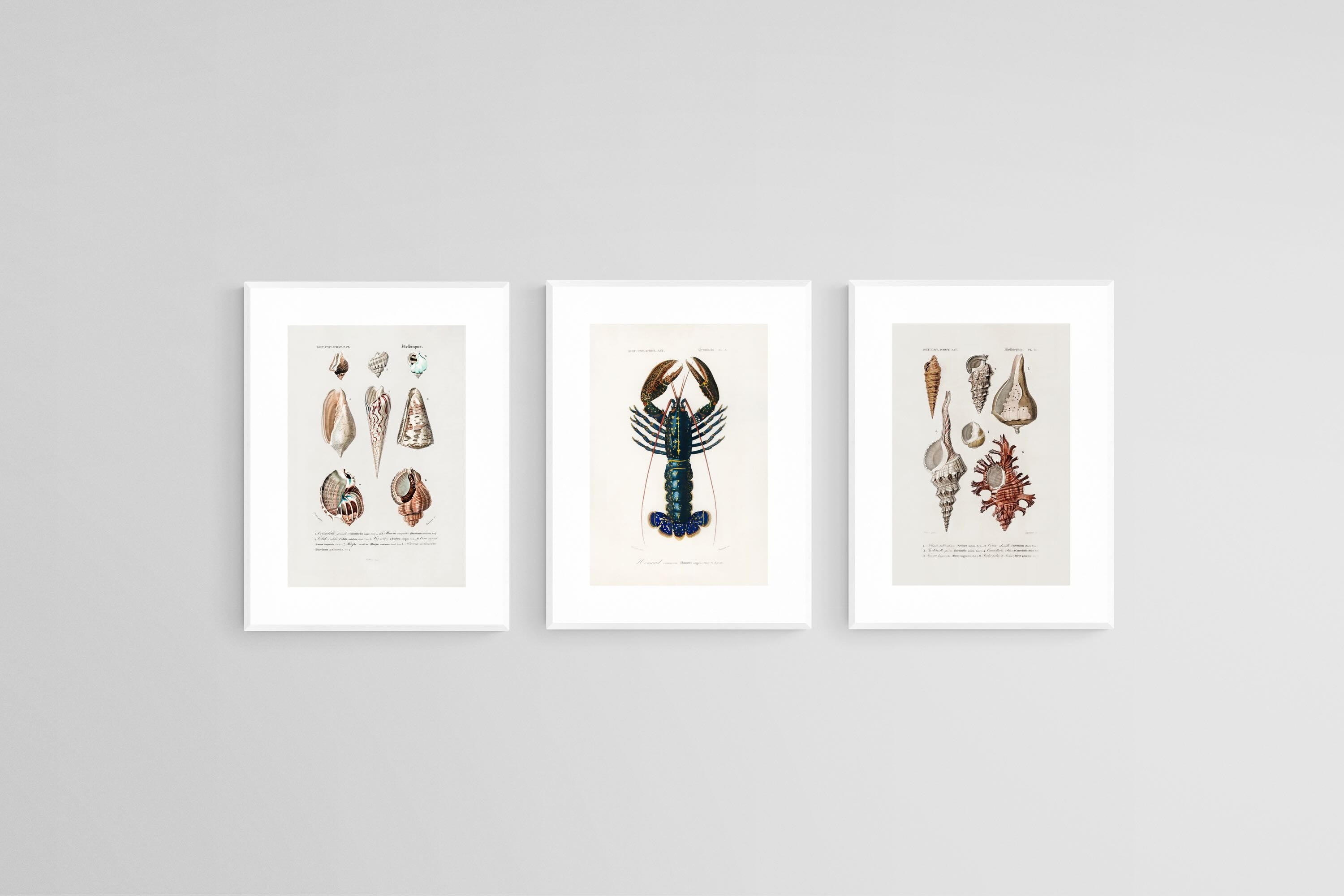 Cabinet of the Coast Set