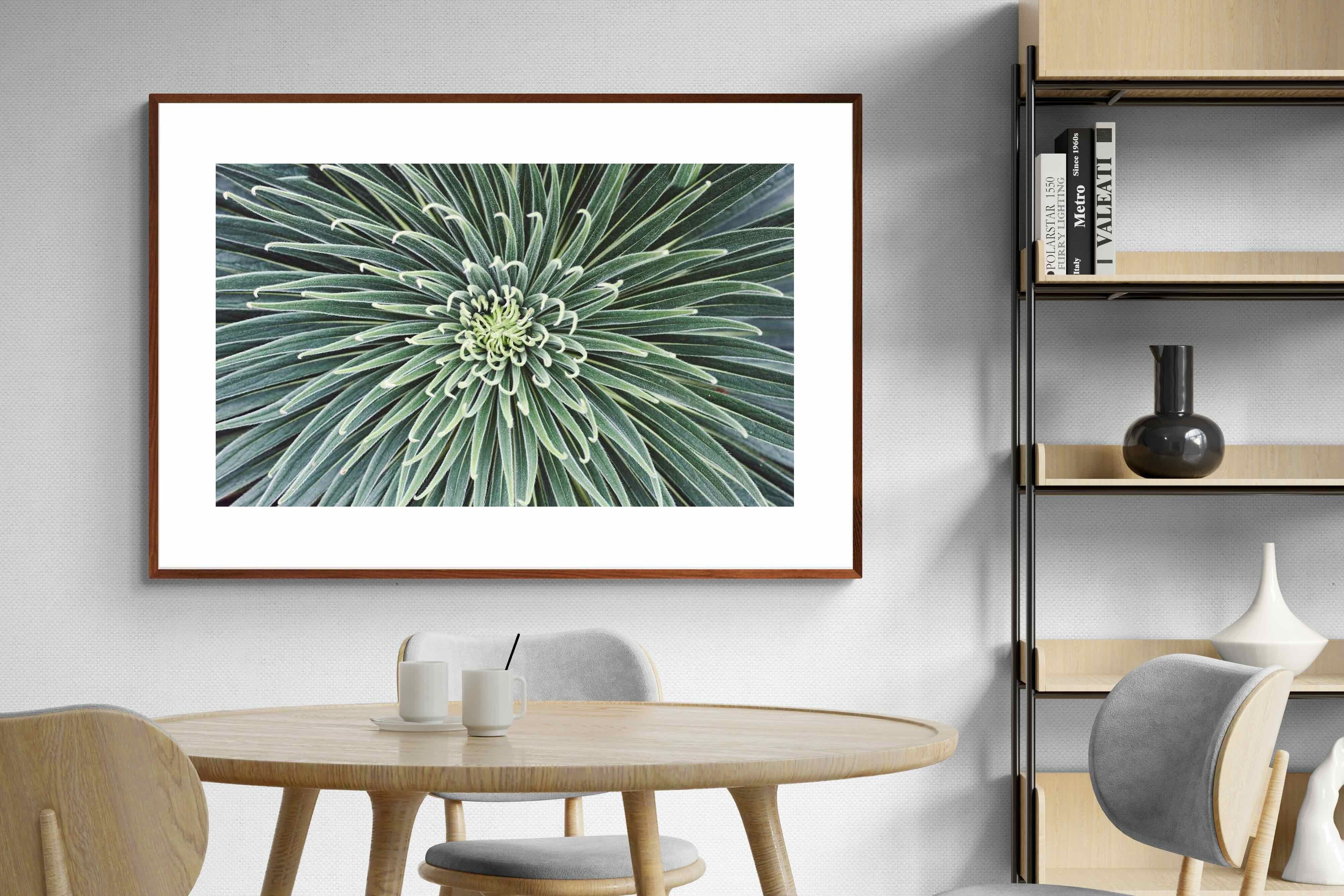 Pixalot ® Cactus