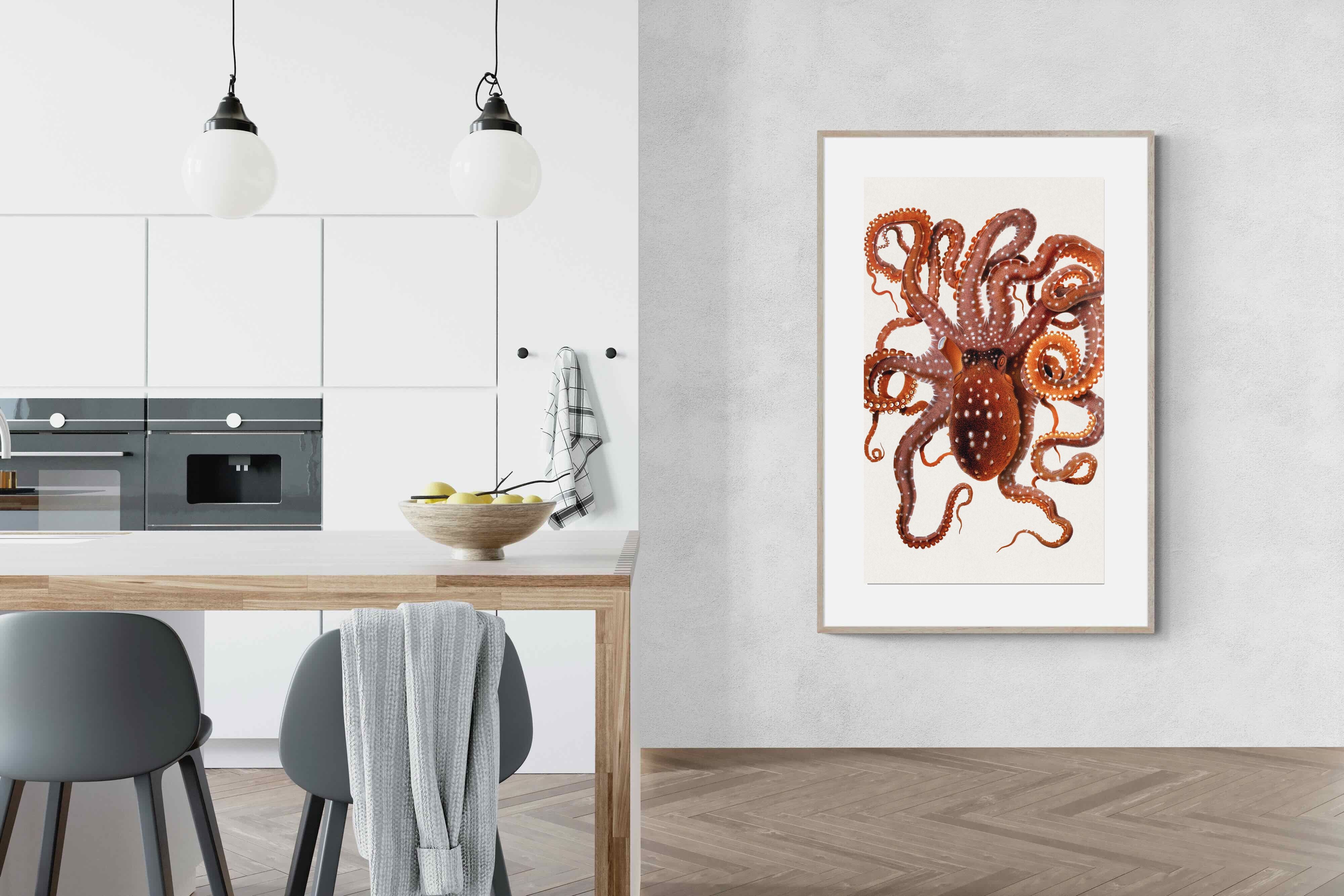 Pixalot Callistoctopus Macropus