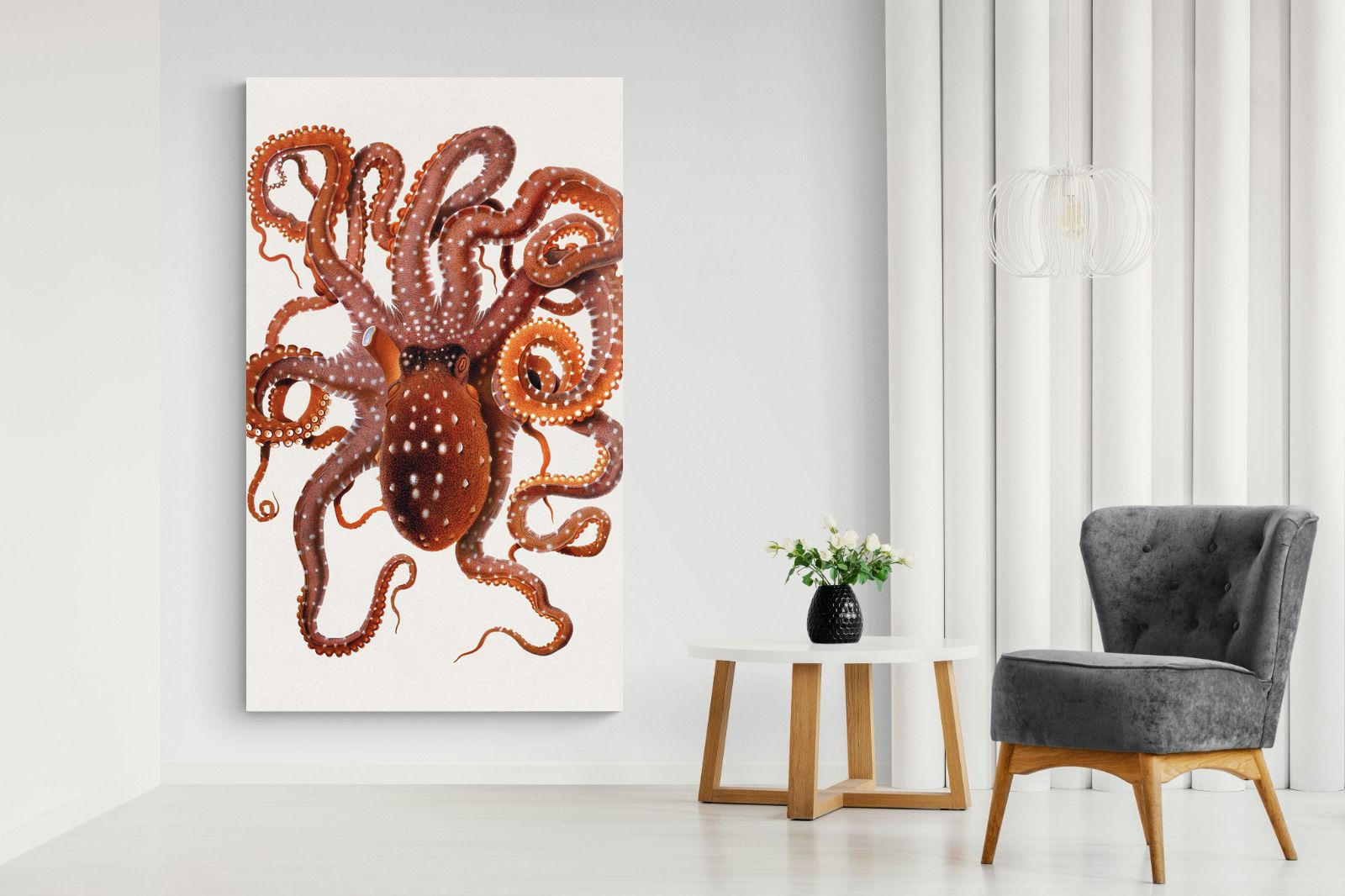 Pixalot Callistoctopus Macropus