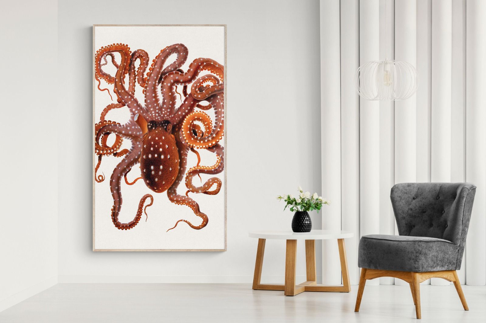 Pixalot Callistoctopus Macropus