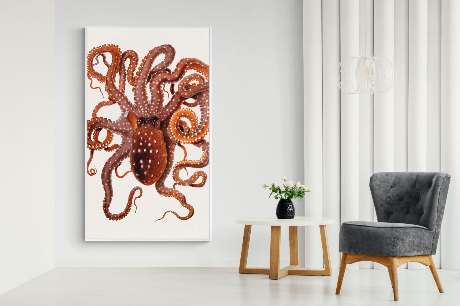 Pixalot Callistoctopus Macropus