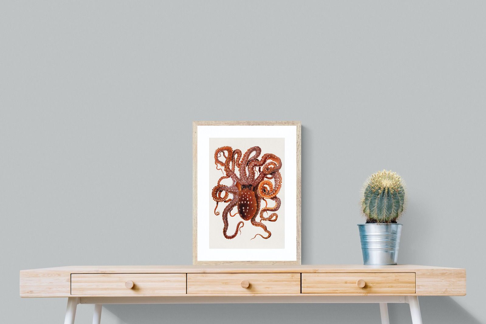 Pixalot Callistoctopus Macropus