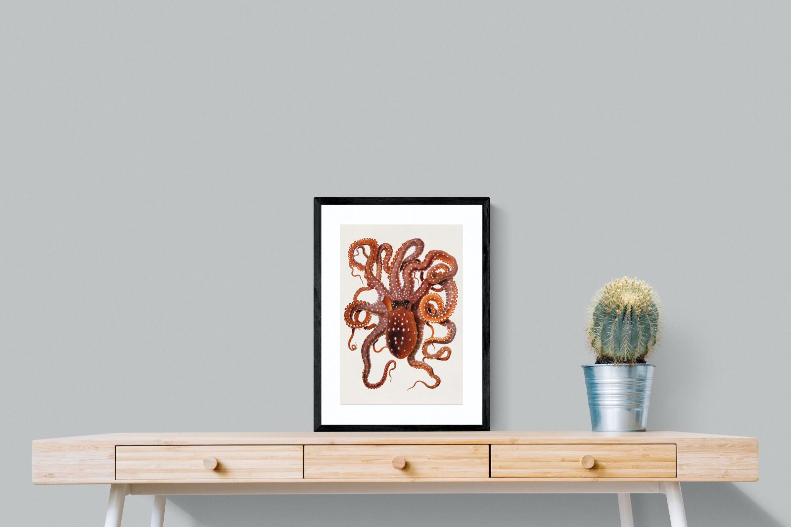 Pixalot Callistoctopus Macropus