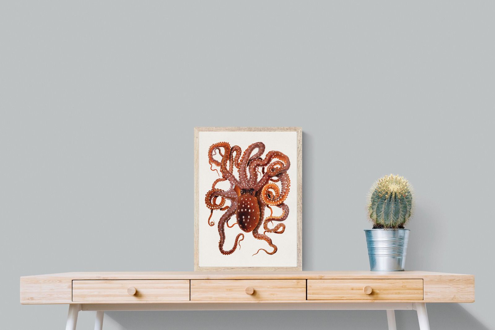 Pixalot Callistoctopus Macropus