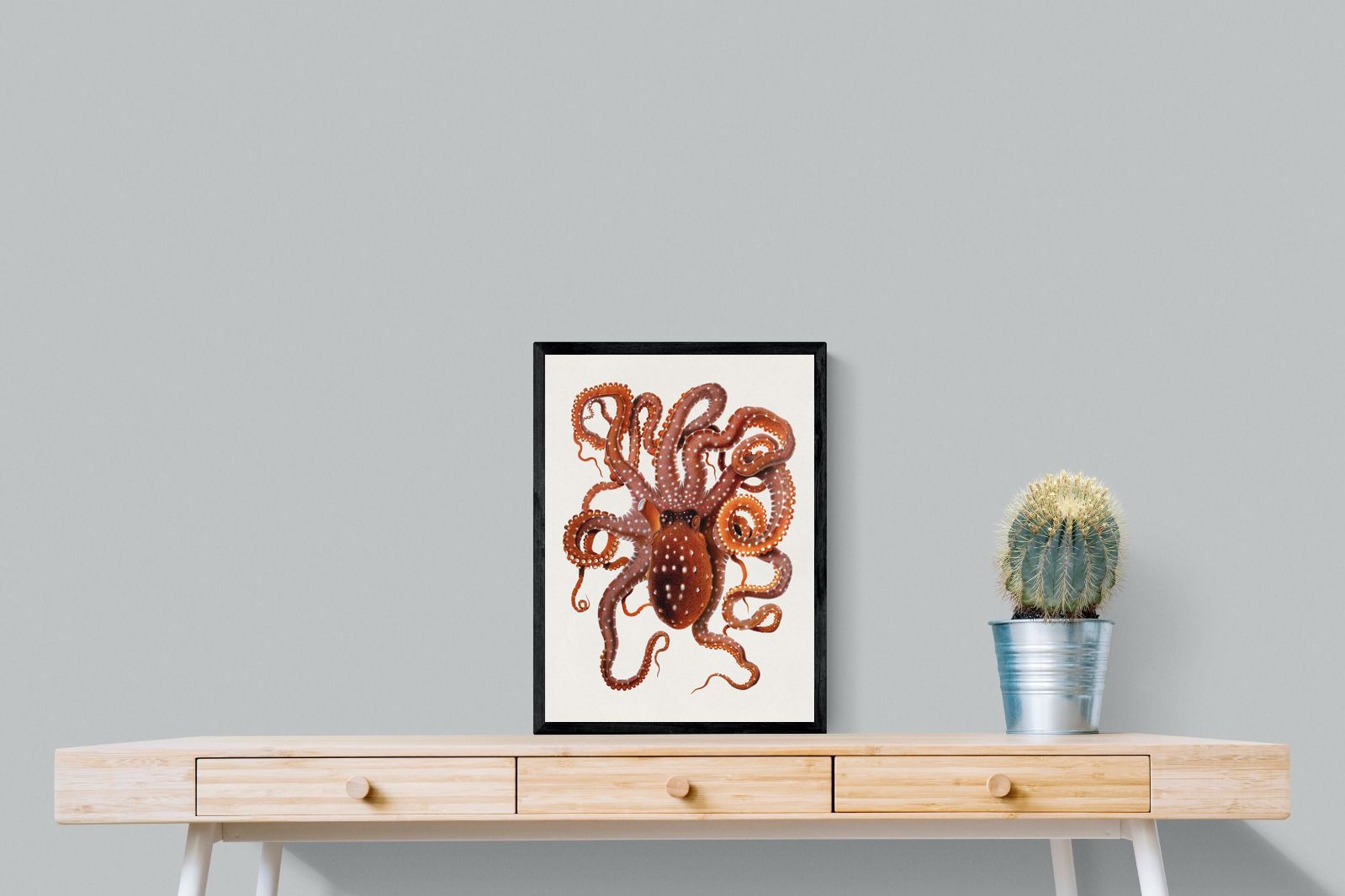 Pixalot Callistoctopus Macropus