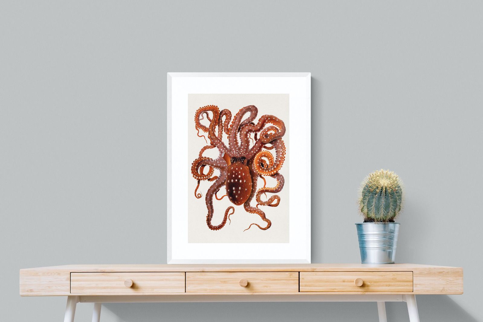 Pixalot Callistoctopus Macropus