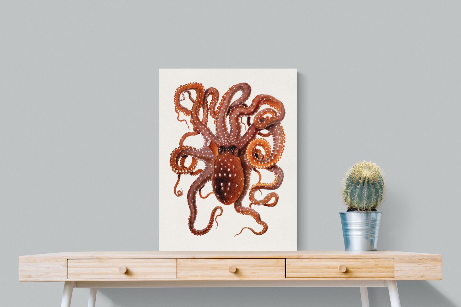 Pixalot Callistoctopus Macropus