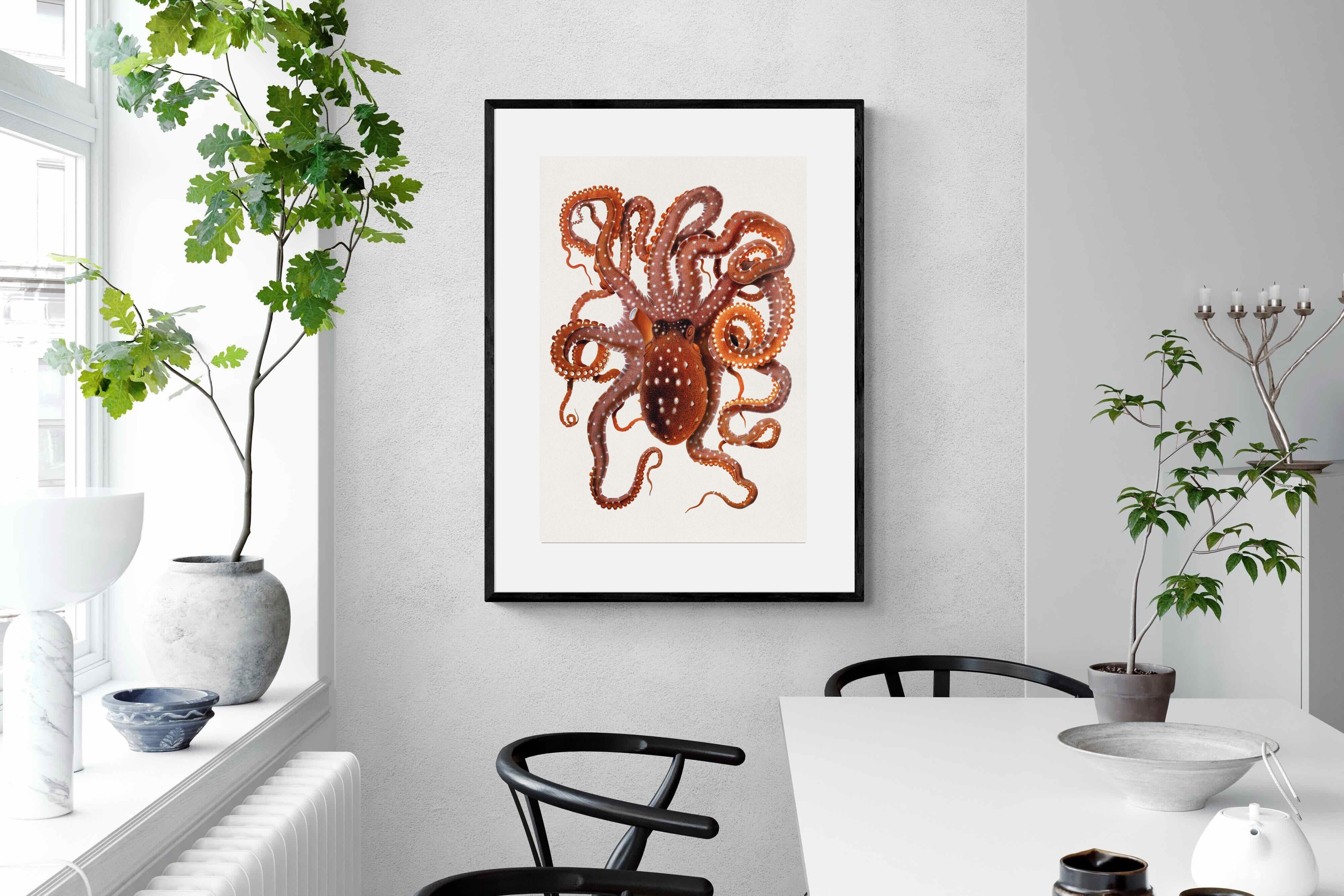 Pixalot Callistoctopus Macropus