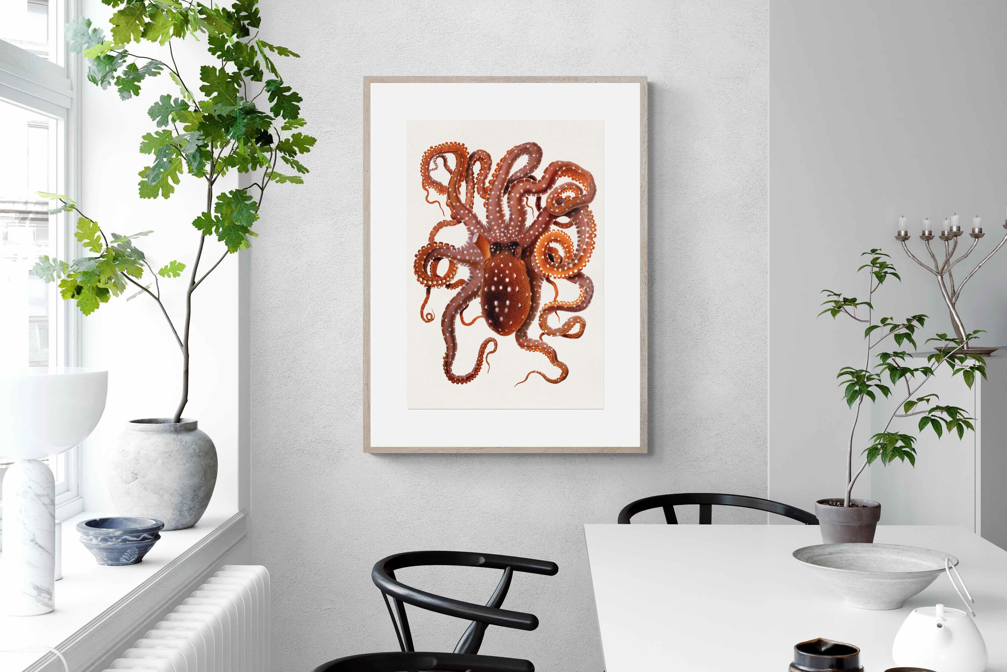 Pixalot Callistoctopus Macropus