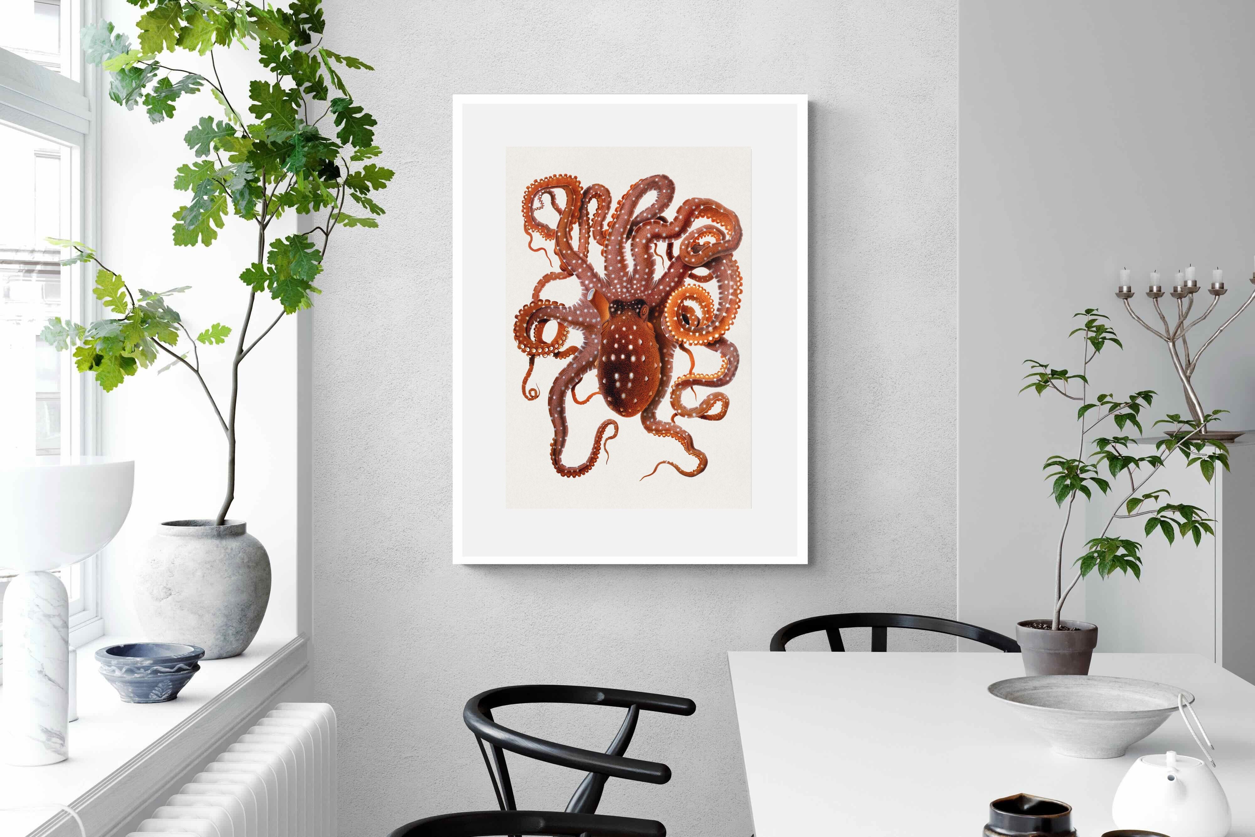 Pixalot Callistoctopus Macropus