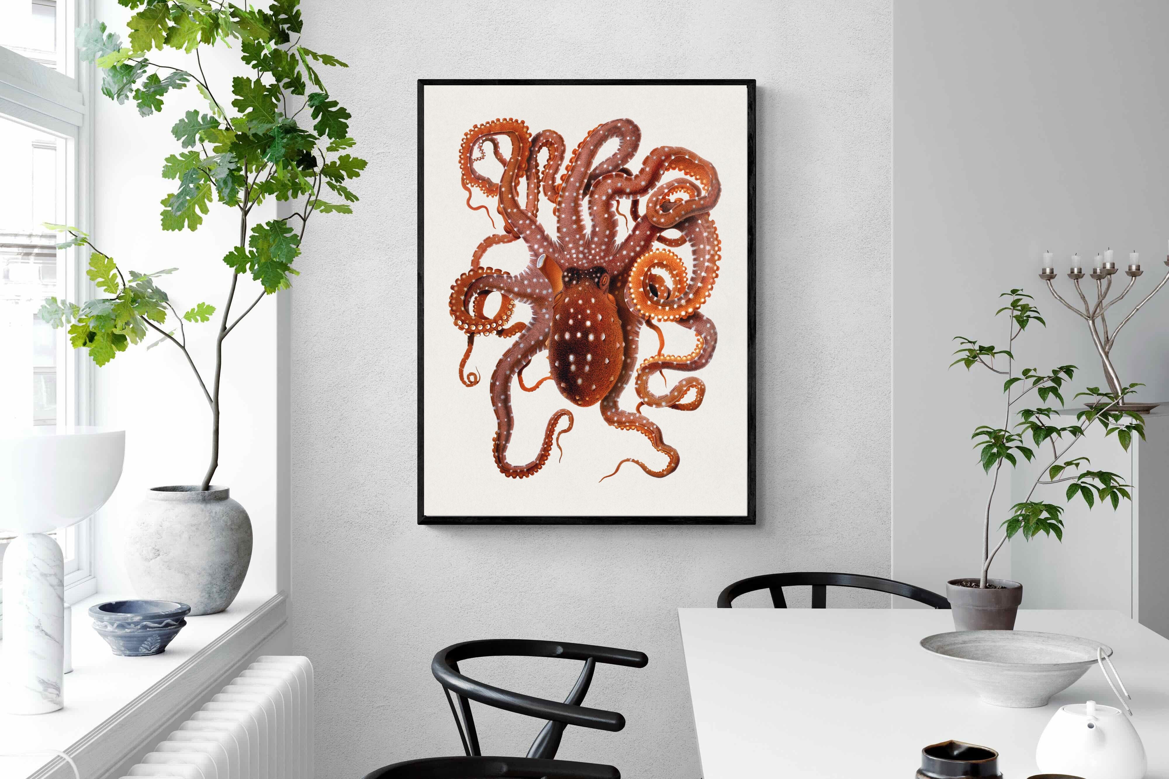 Pixalot Callistoctopus Macropus