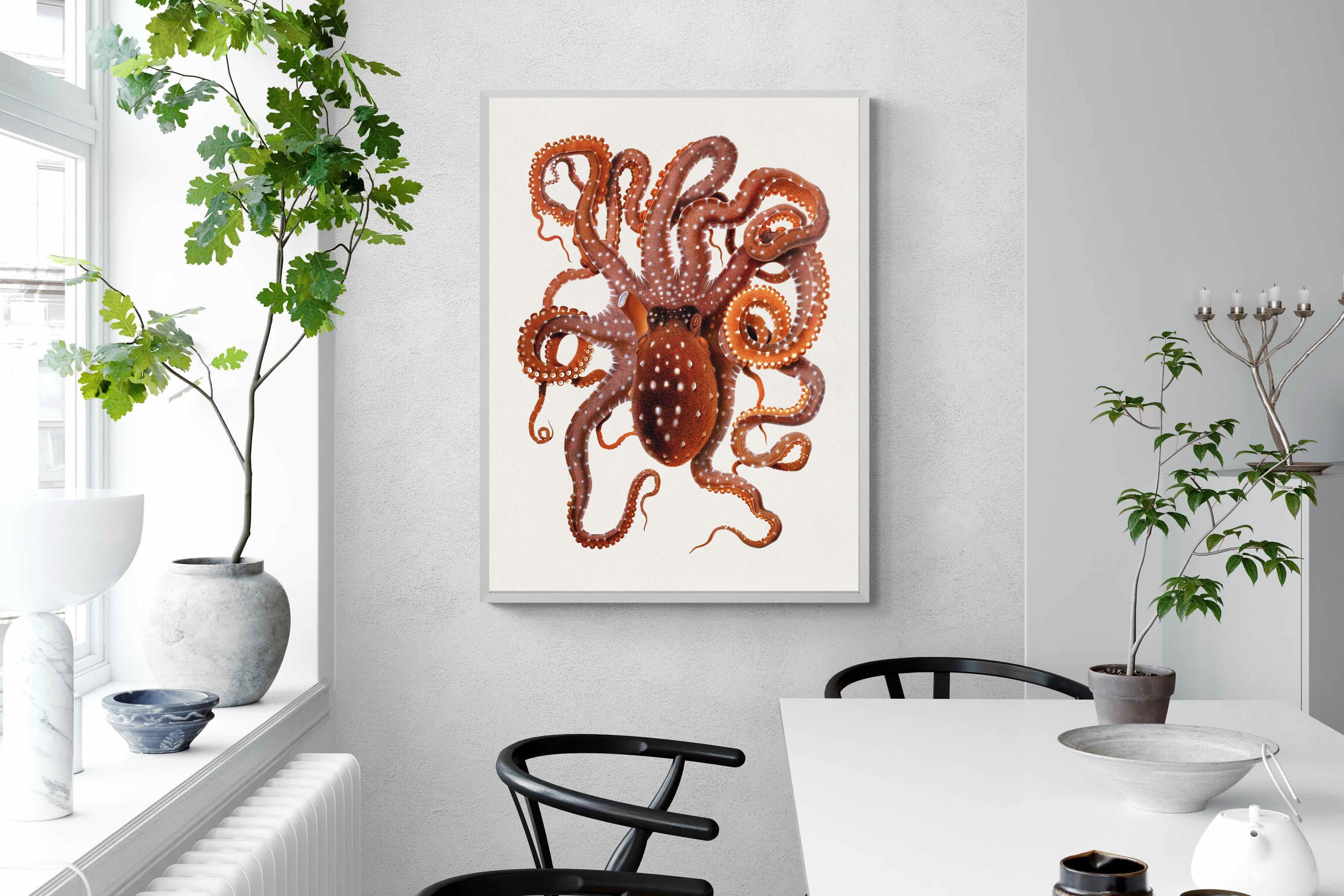 Pixalot Callistoctopus Macropus