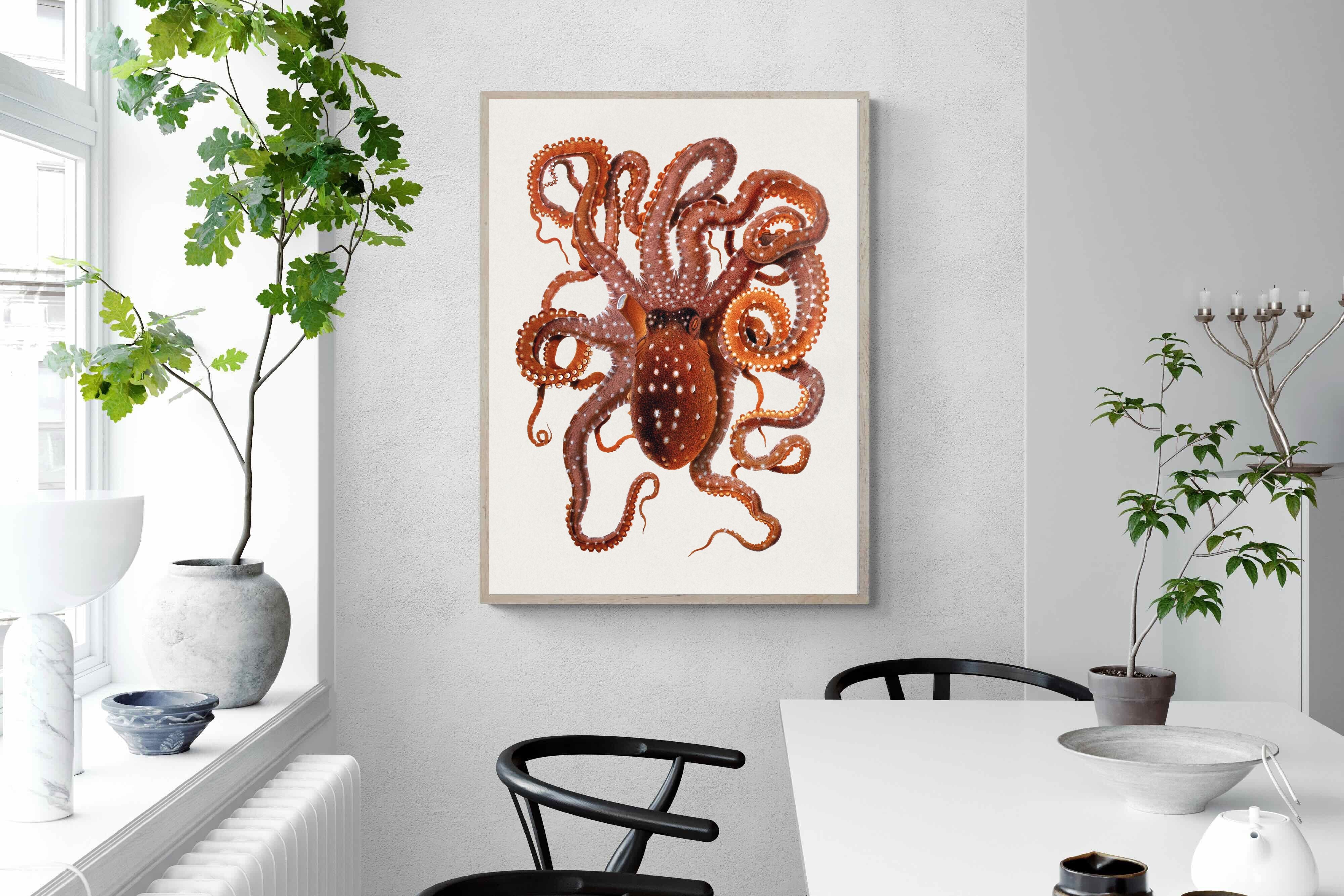 Pixalot Callistoctopus Macropus