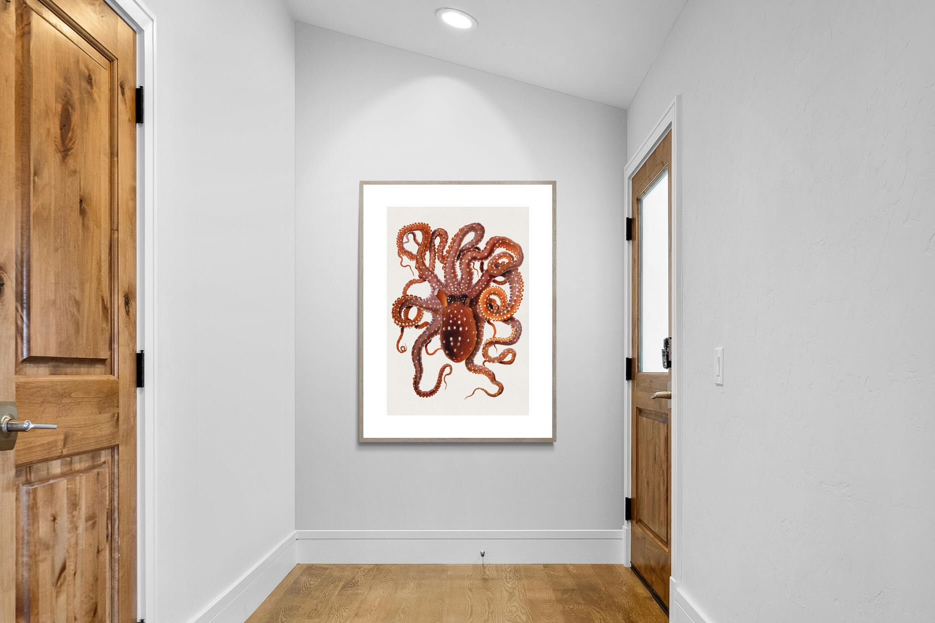 Pixalot Callistoctopus Macropus