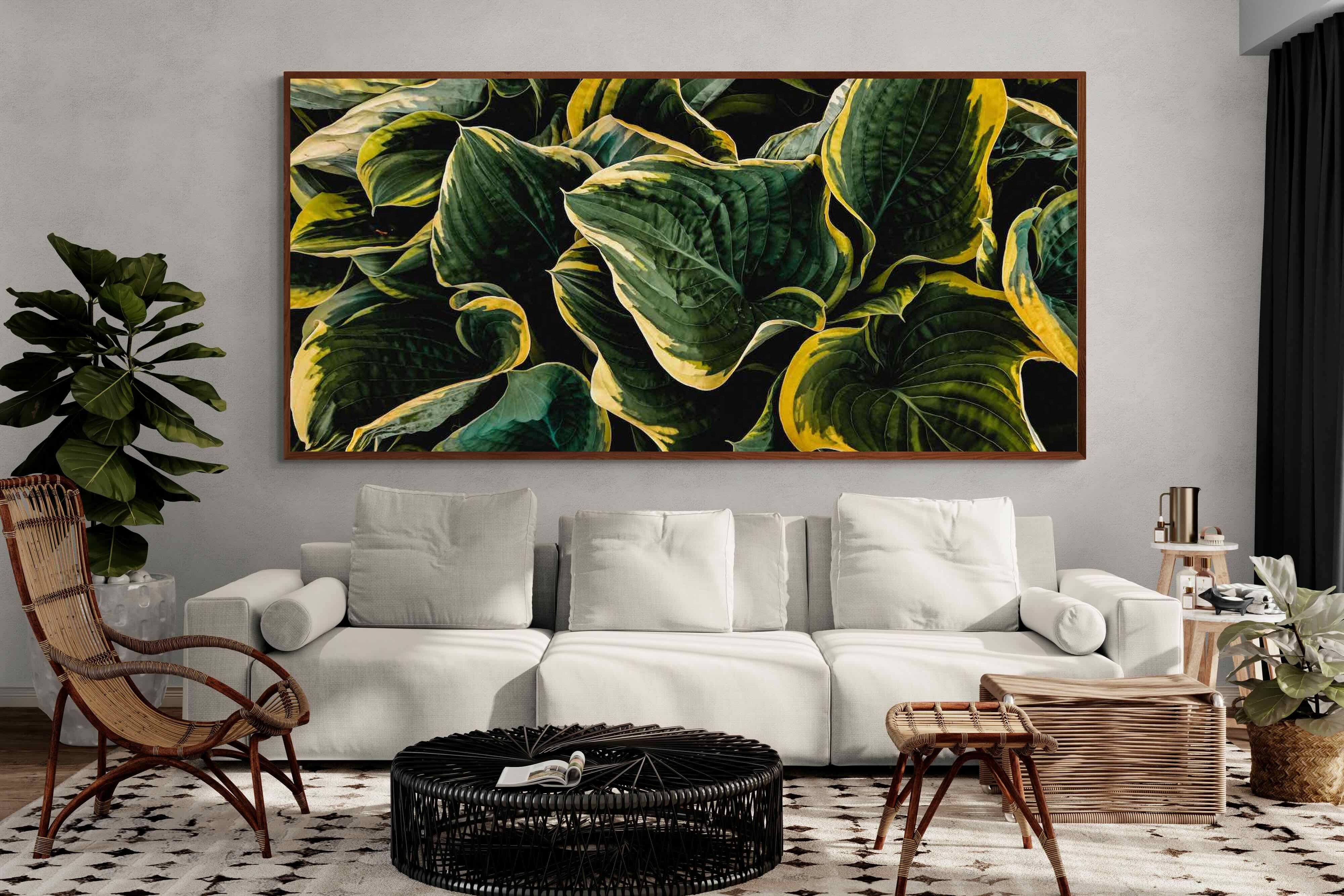 Pixalot ® Canadale Gold