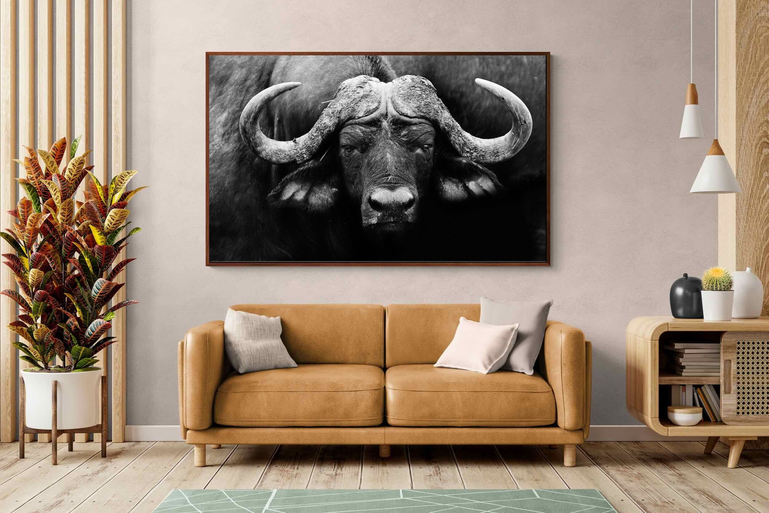 Pixalot ® Cape Buffalo