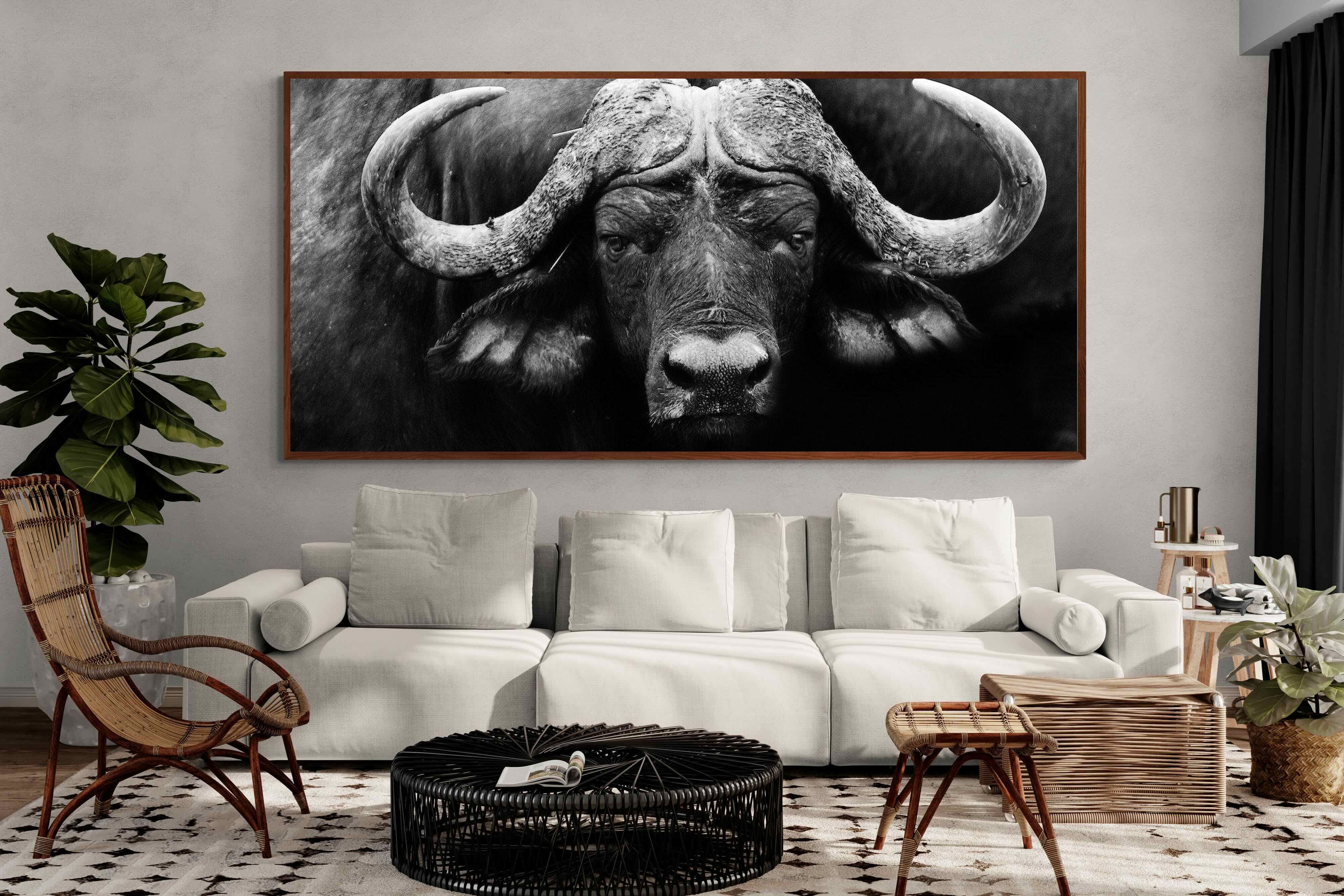 Pixalot ® Cape Buffalo