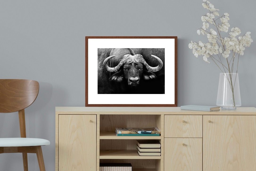 Pixalot ® Cape Buffalo