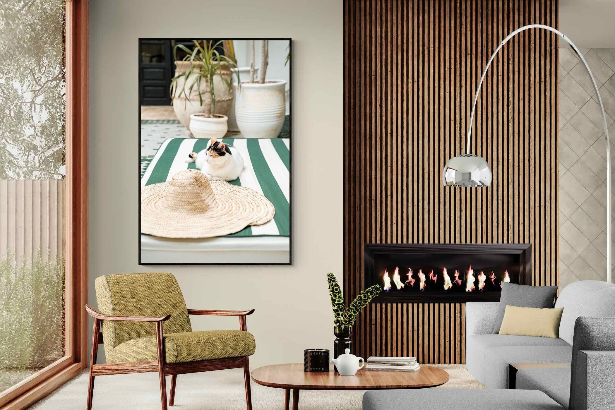 Pixalot Cat In Marrakech