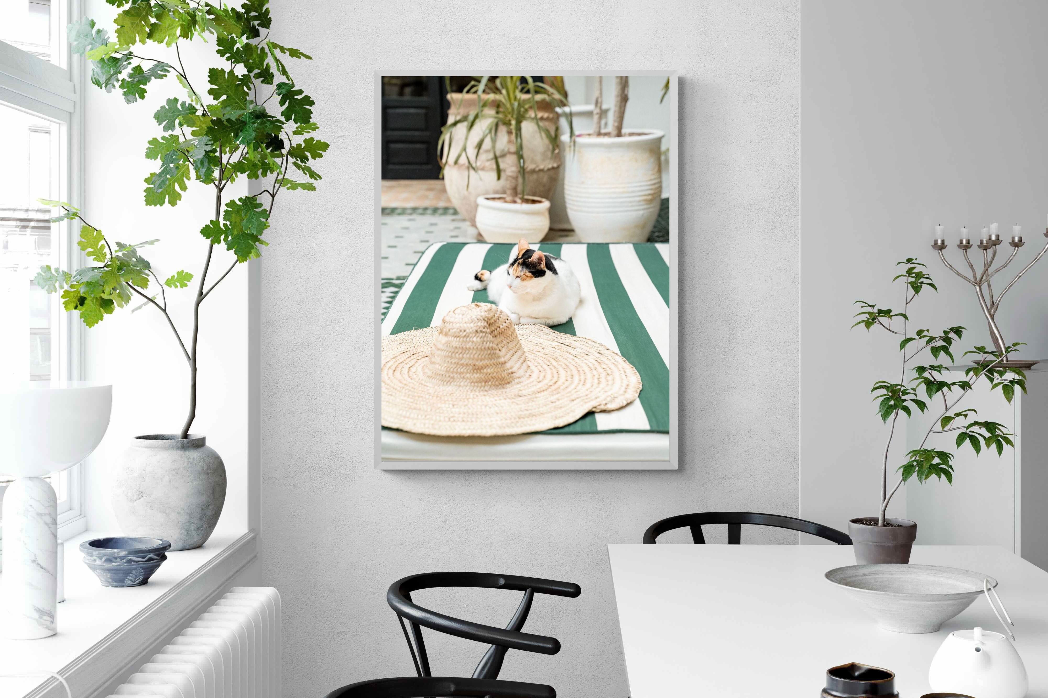 Pixalot Cat In Marrakech