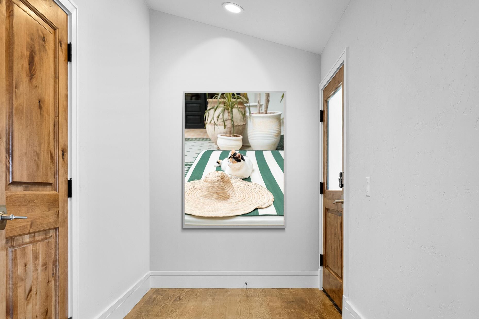 Pixalot Cat In Marrakech