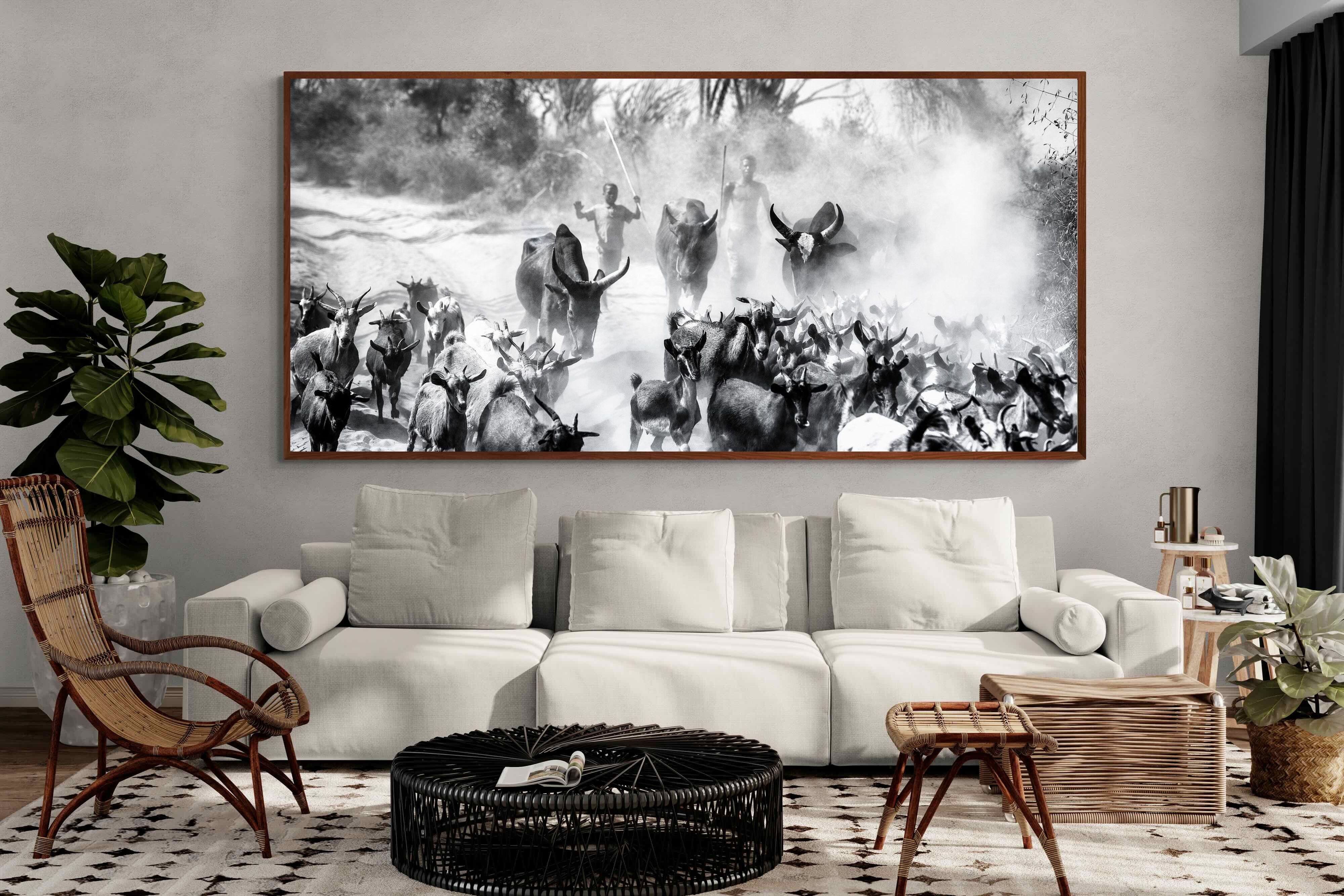 Pixalot ® Cattle Shepherd
