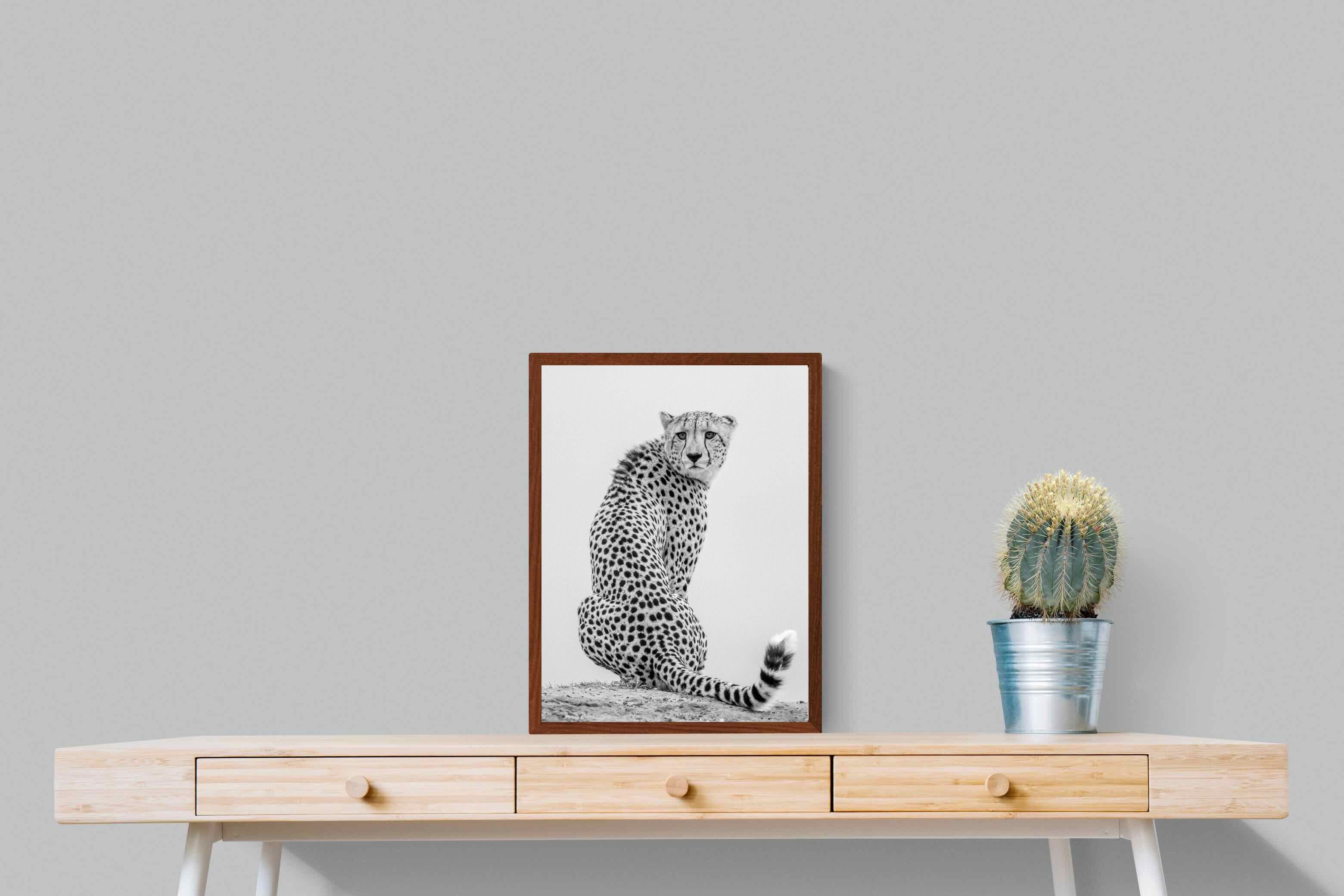 Pixalot Cheetah Glance