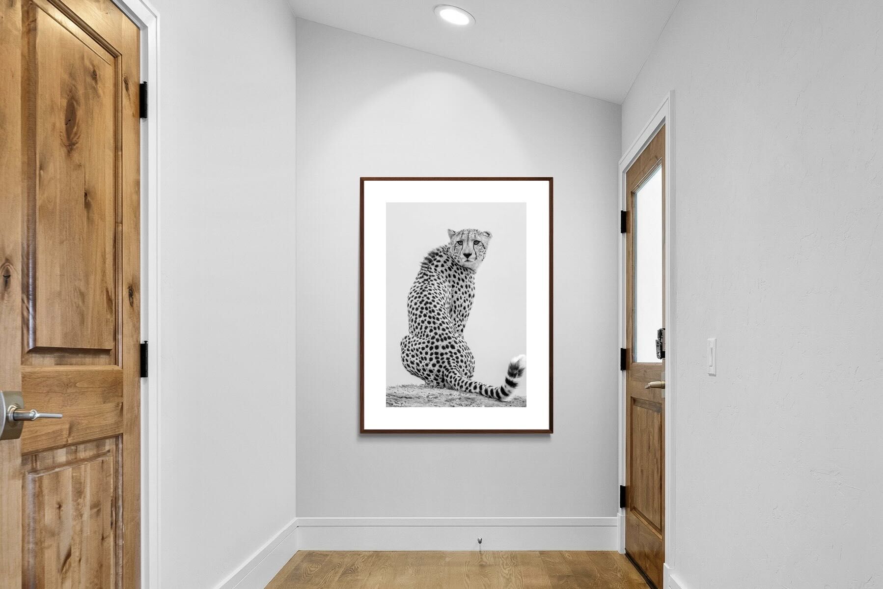 Pixalot Cheetah Glance