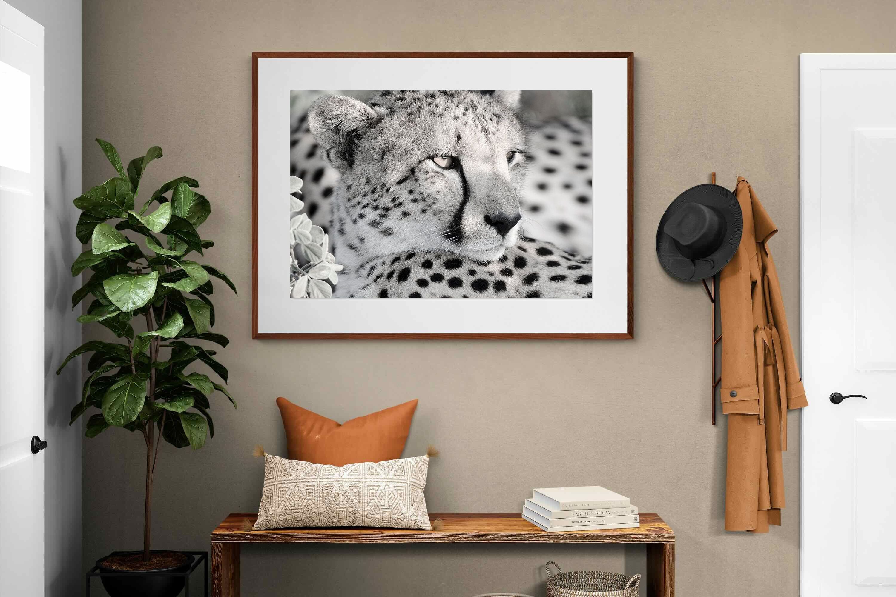 Pixalot Cheetah Glare