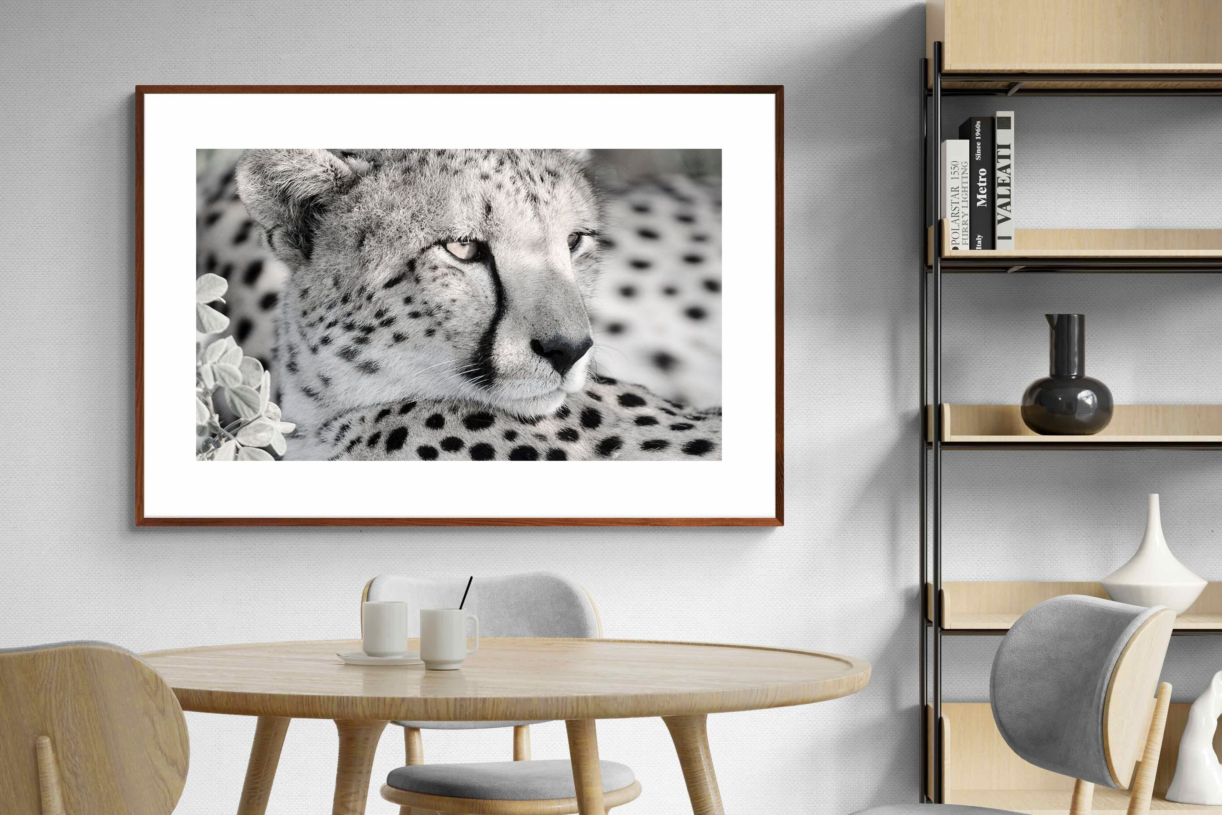 Pixalot Cheetah Glare