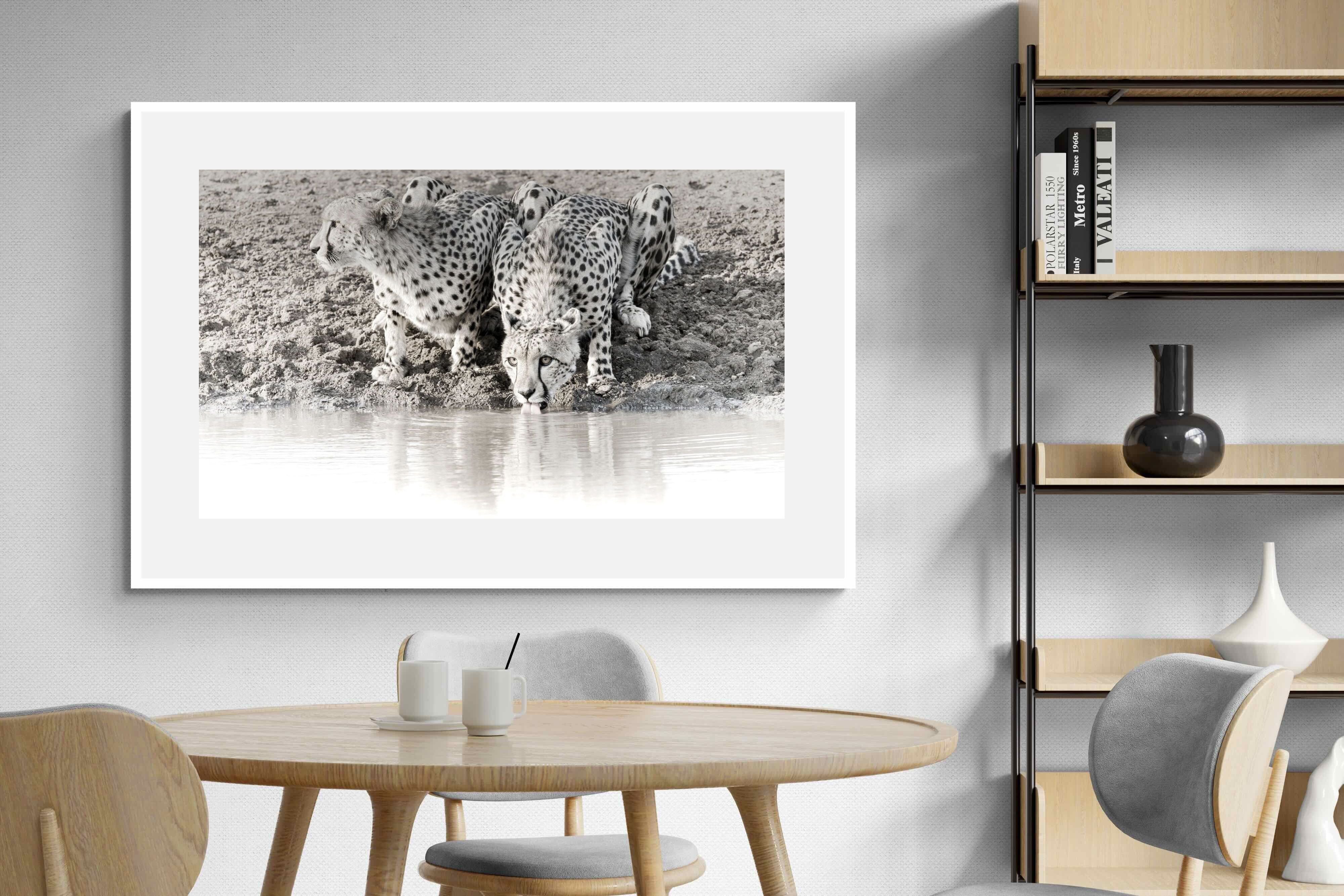 Pixalot Cheetah Sisters