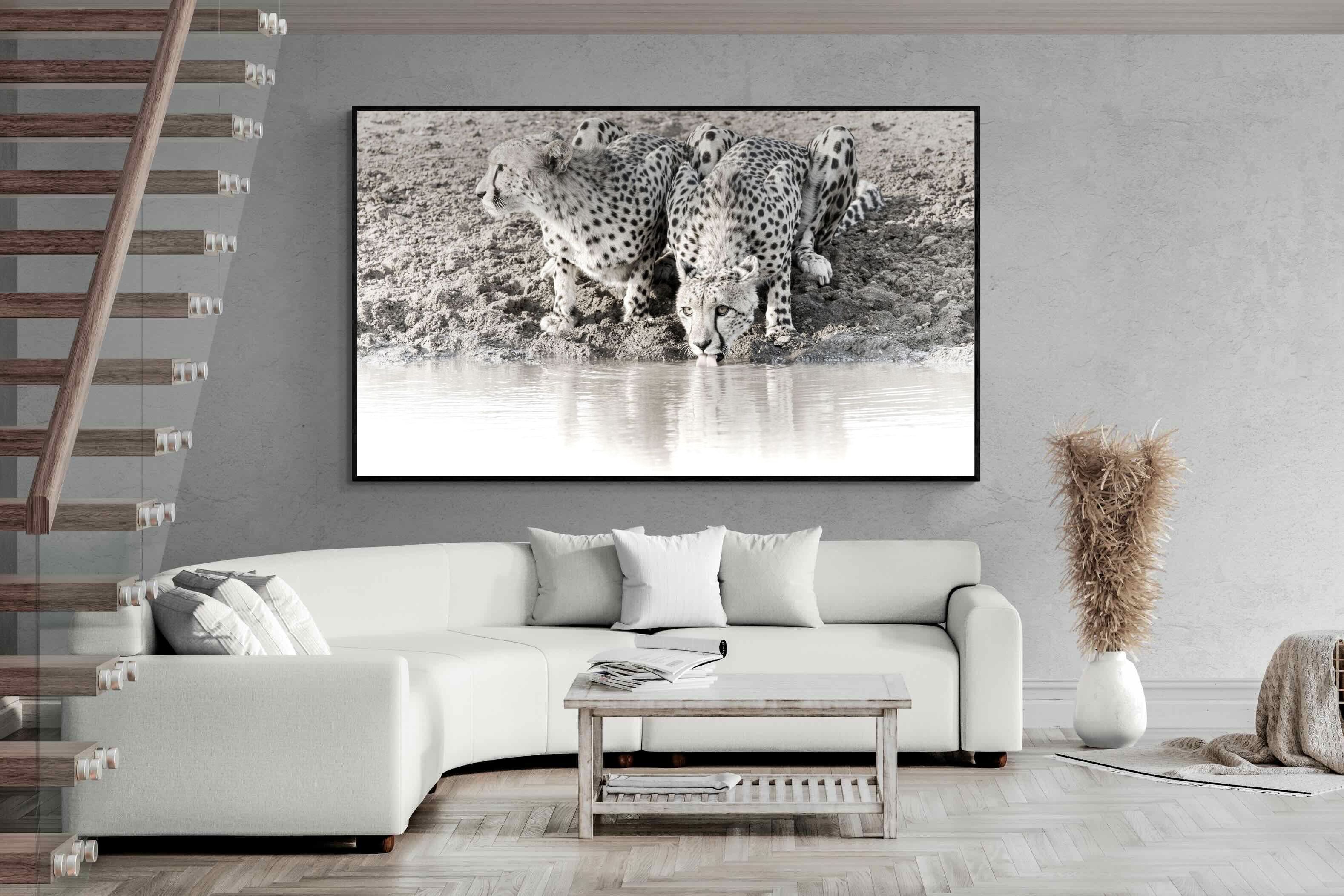 Pixalot Cheetah Sisters