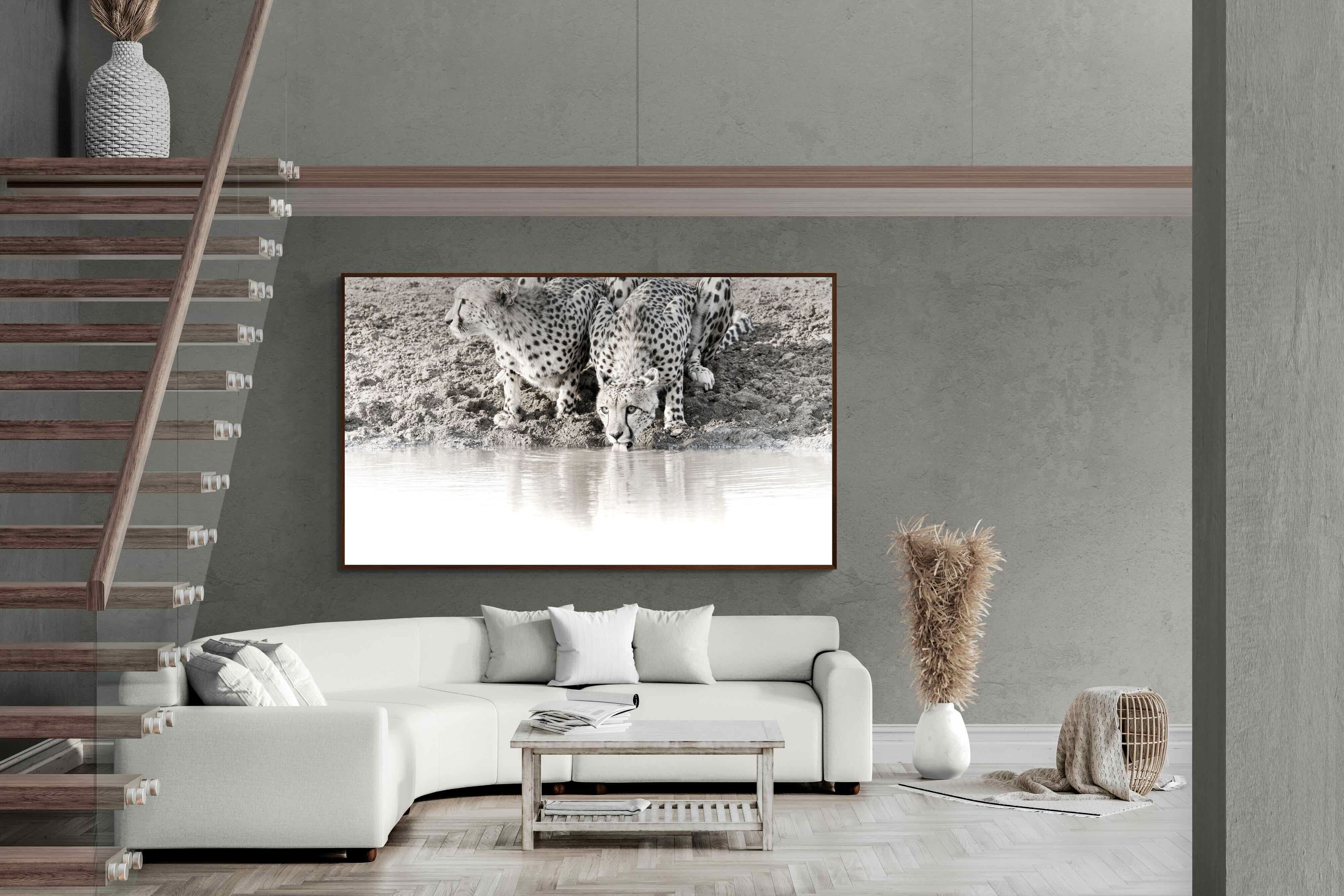 Pixalot Cheetah Sisters