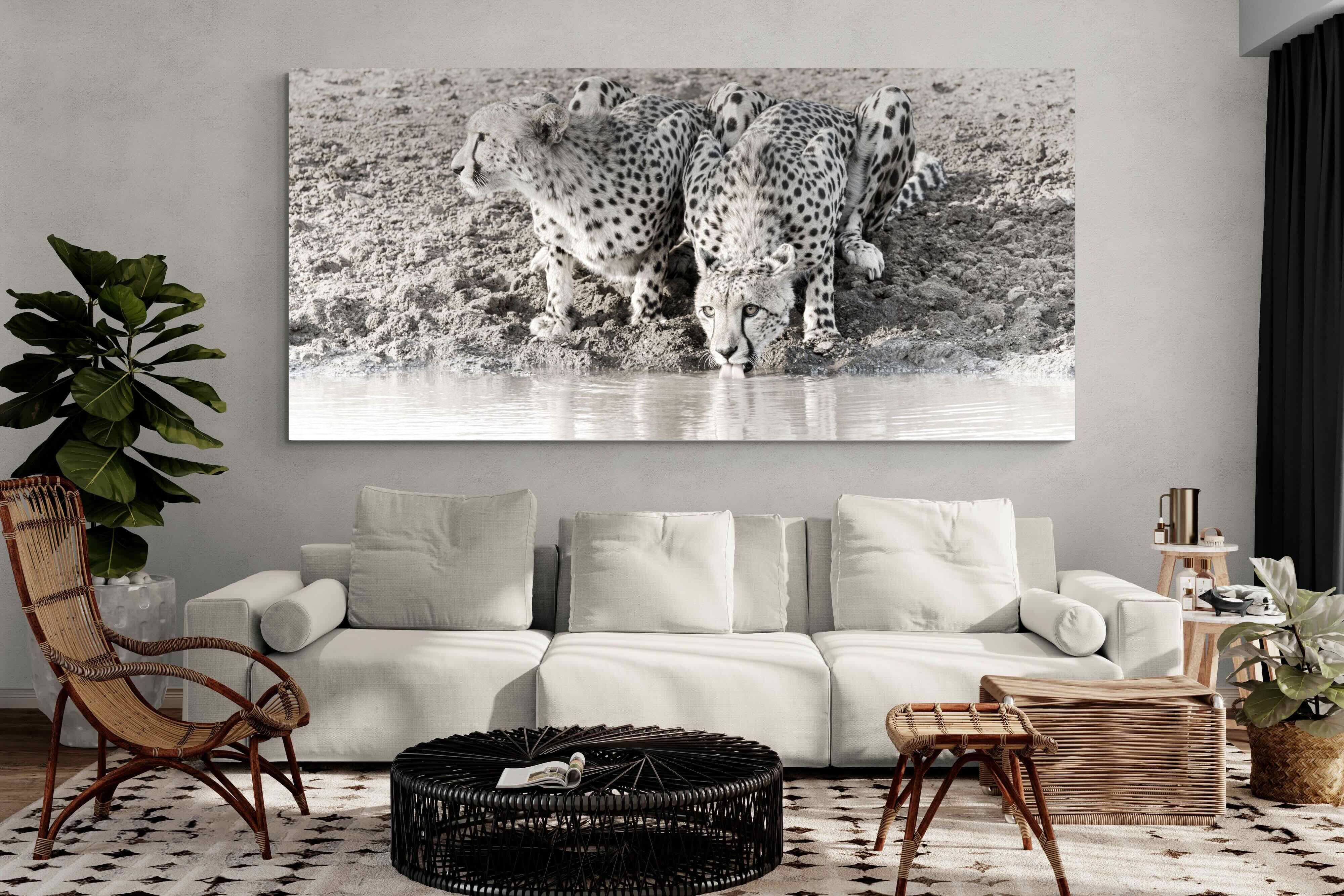 Pixalot Cheetah Sisters