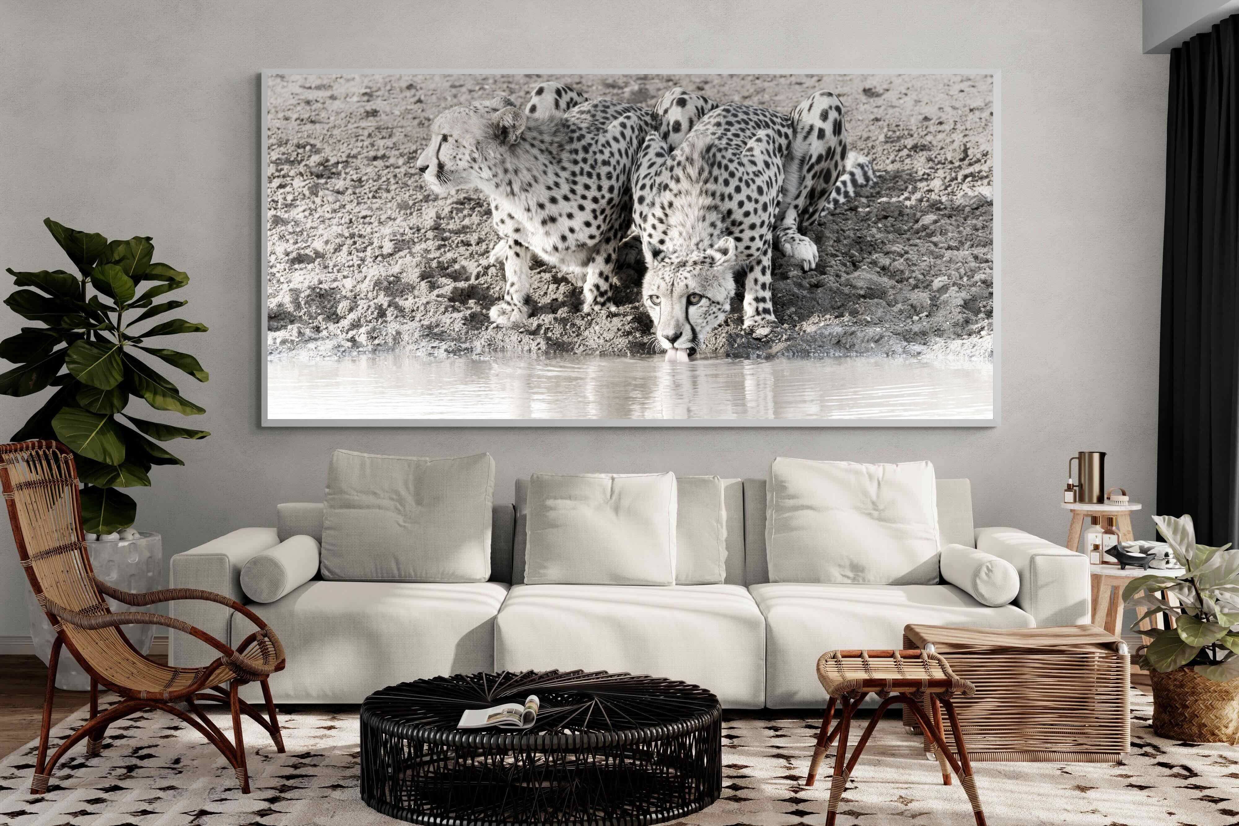 Pixalot Cheetah Sisters