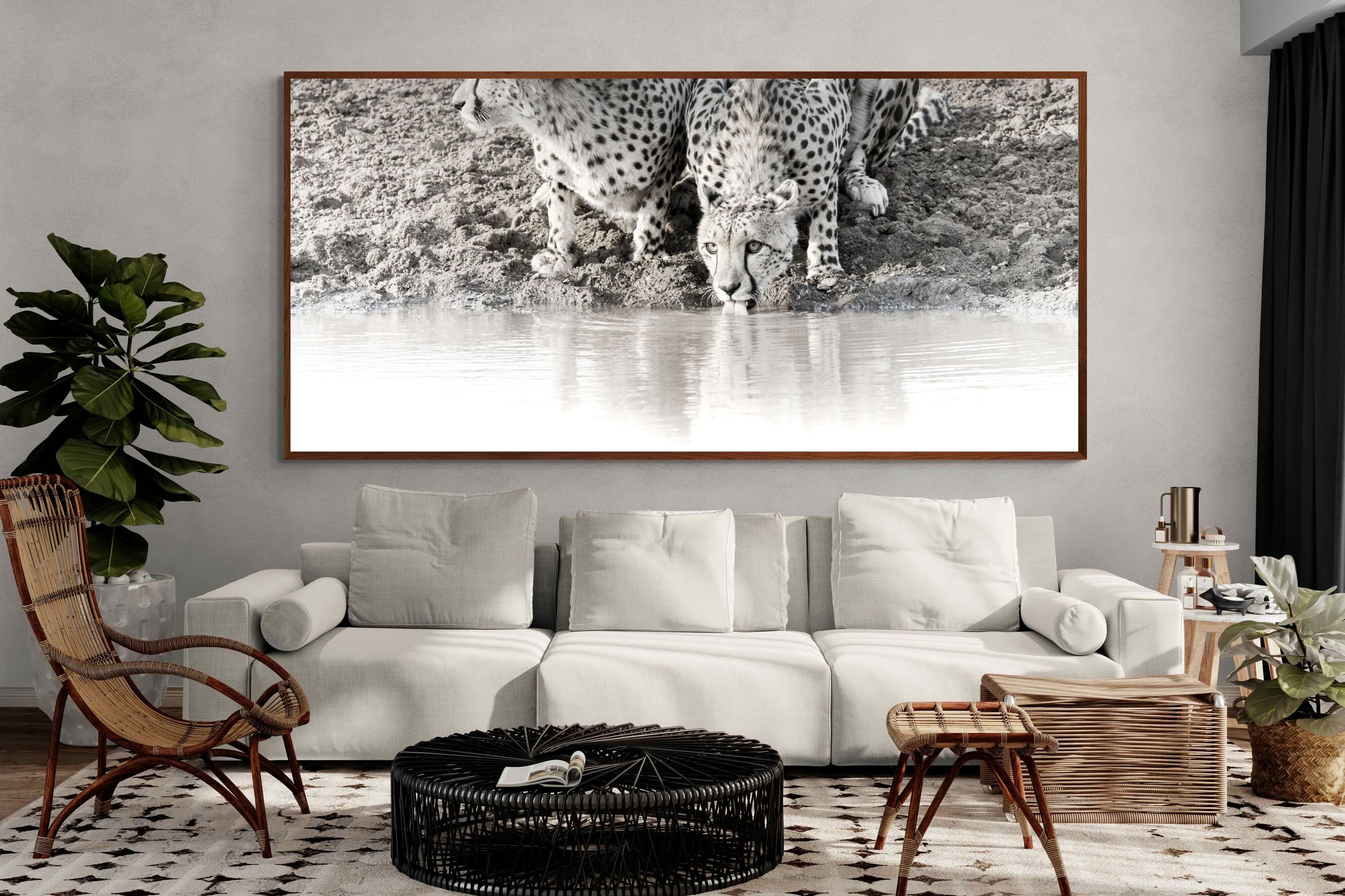 Pixalot Cheetah Sisters