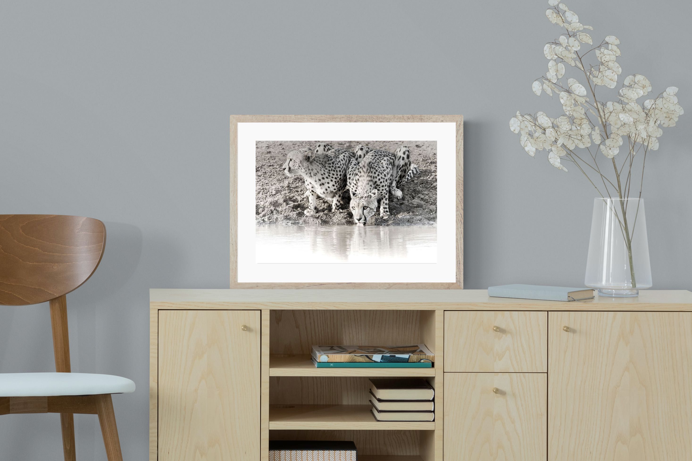 Pixalot Cheetah Sisters