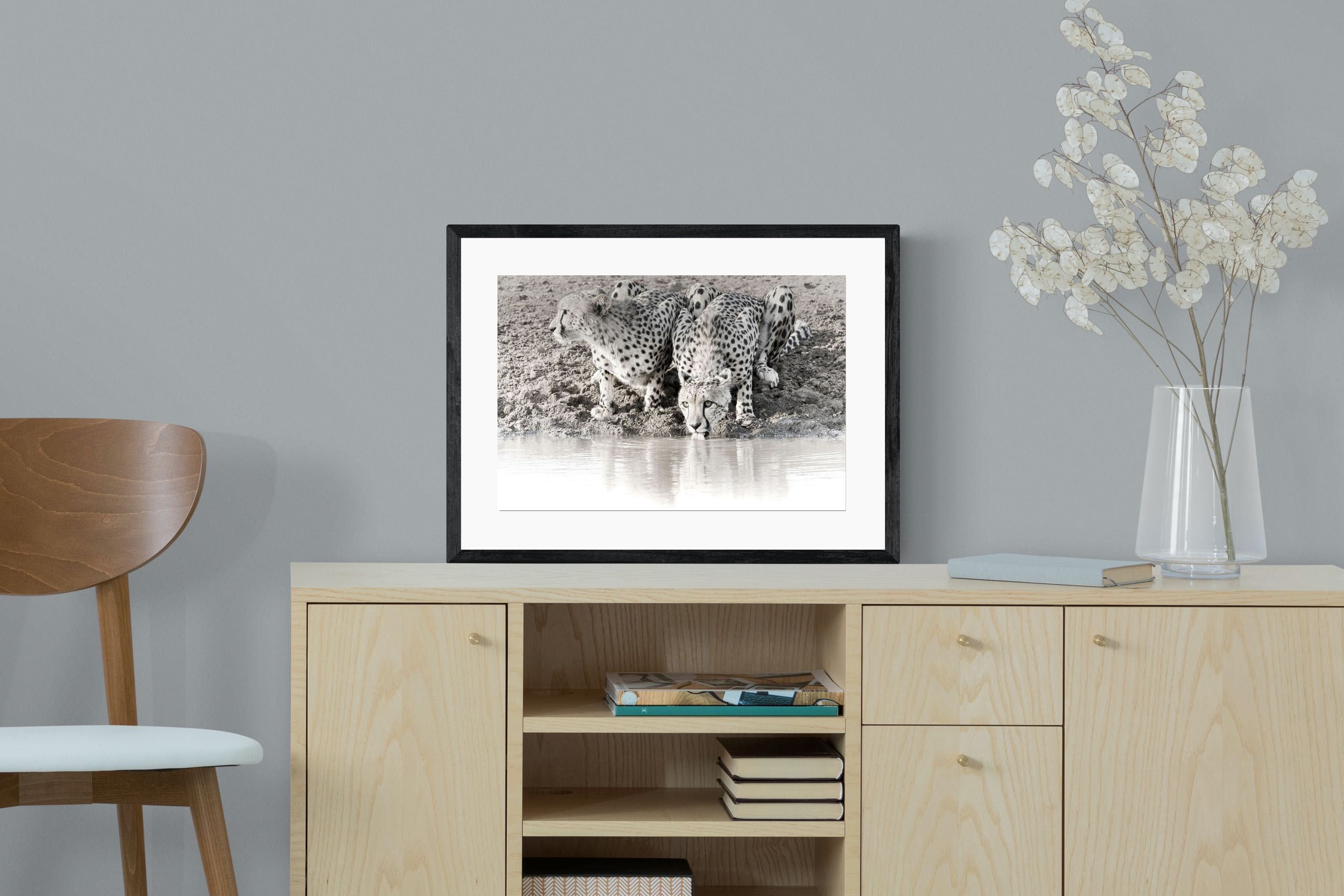 Pixalot Cheetah Sisters