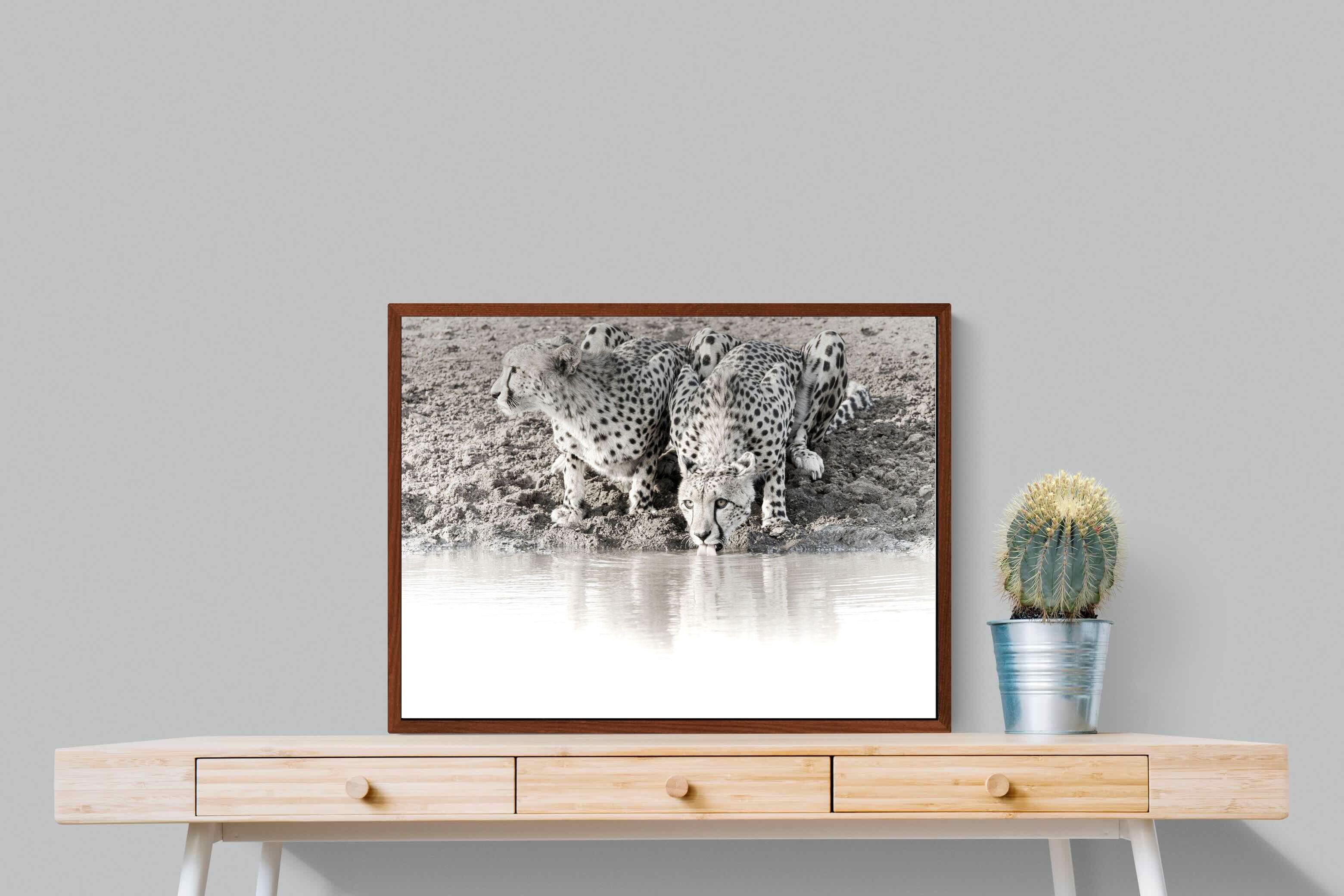 Pixalot Cheetah Sisters