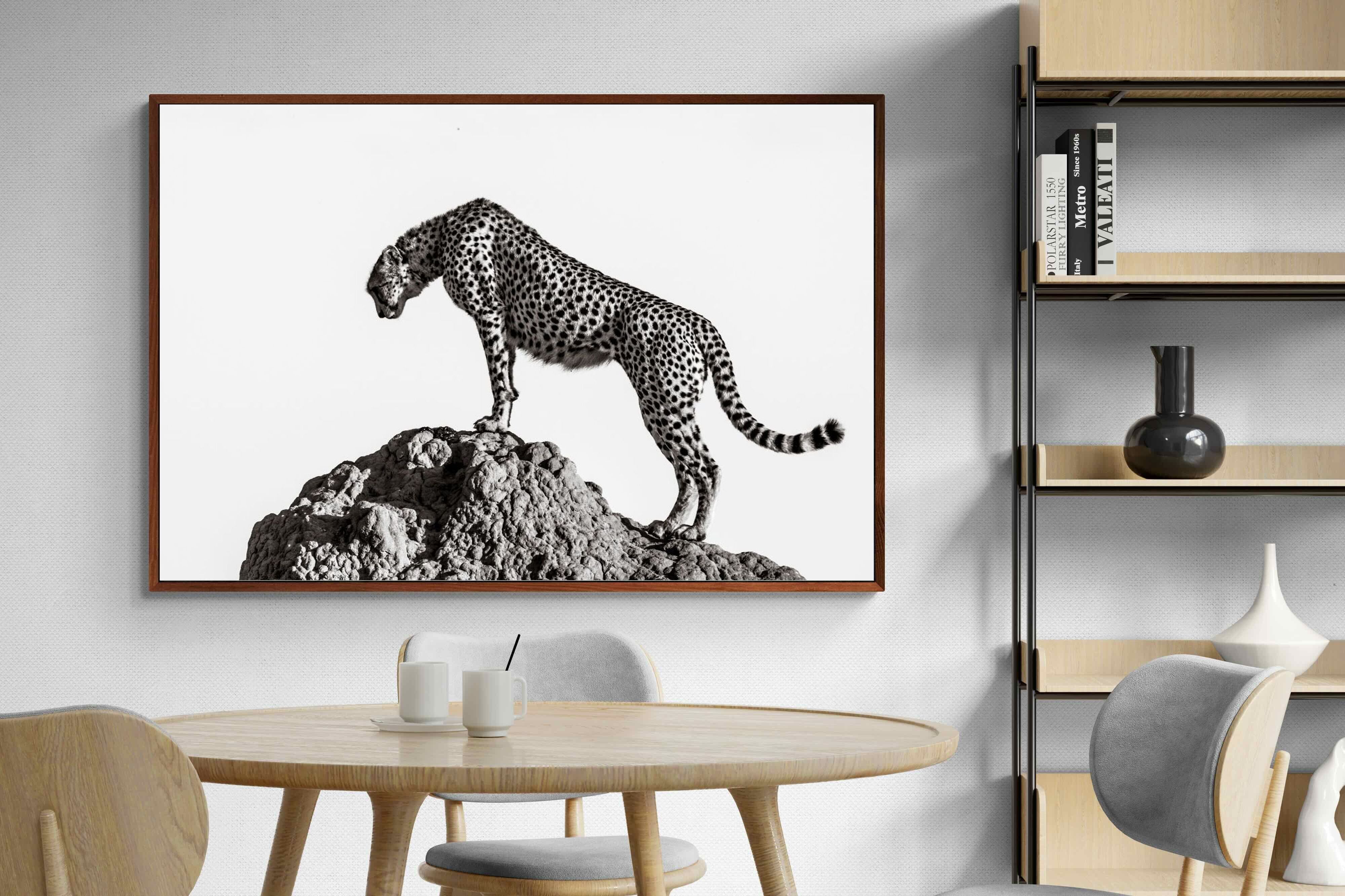 Pixalot ® Cheetah's Outlook
