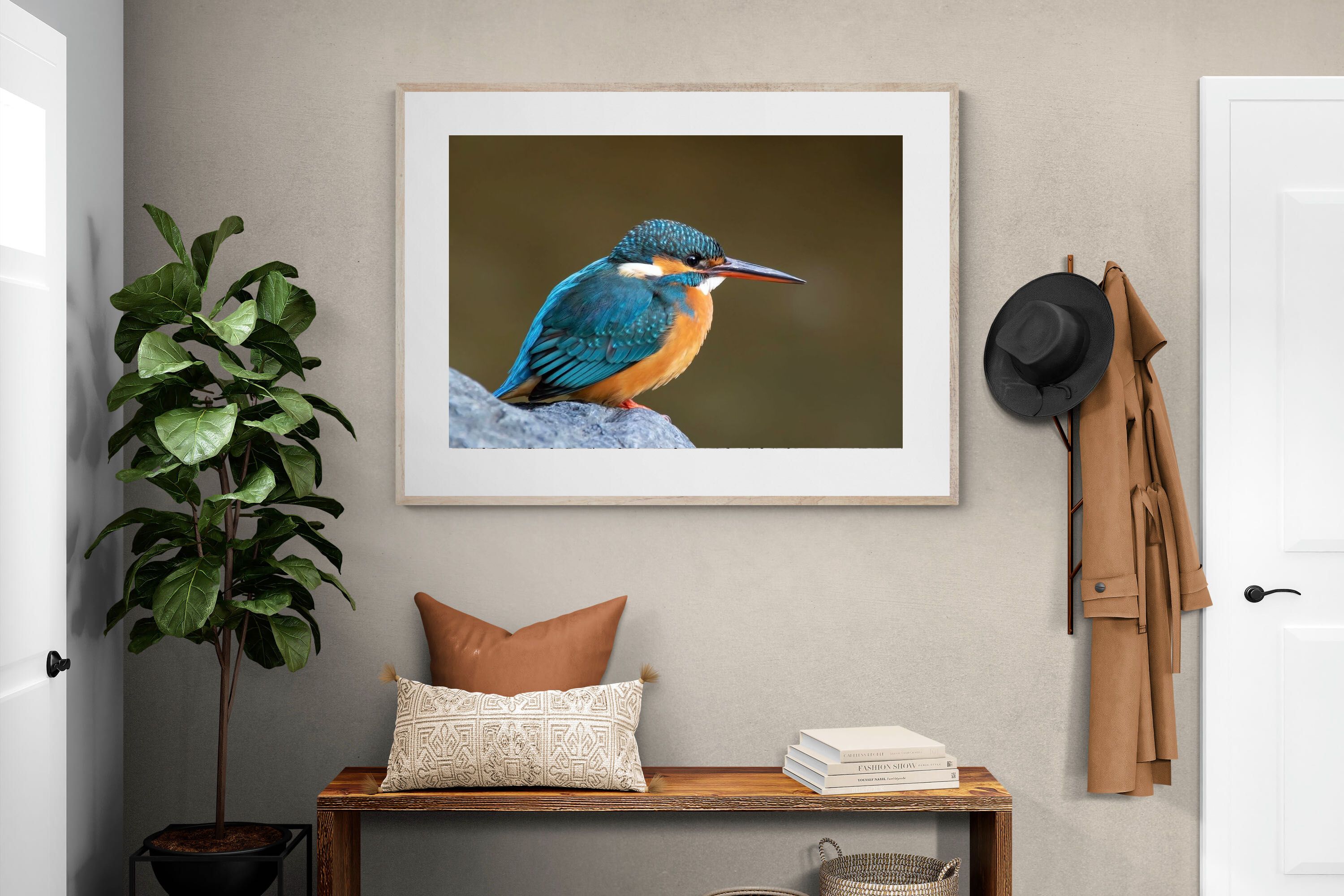 Pixalot Common Kingfisher