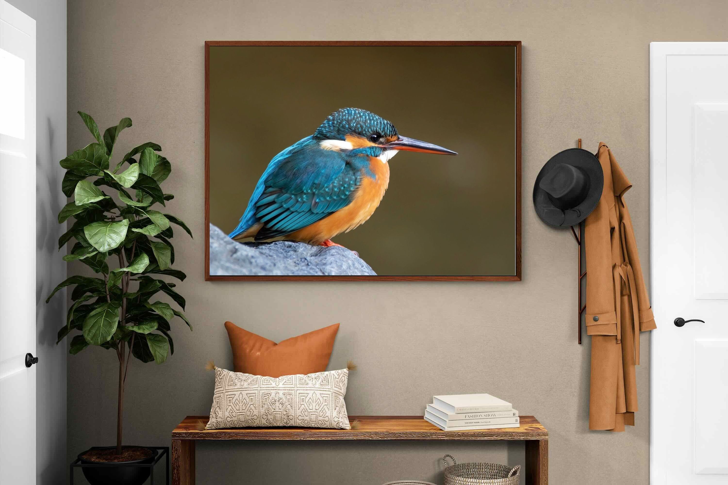 Pixalot Common Kingfisher