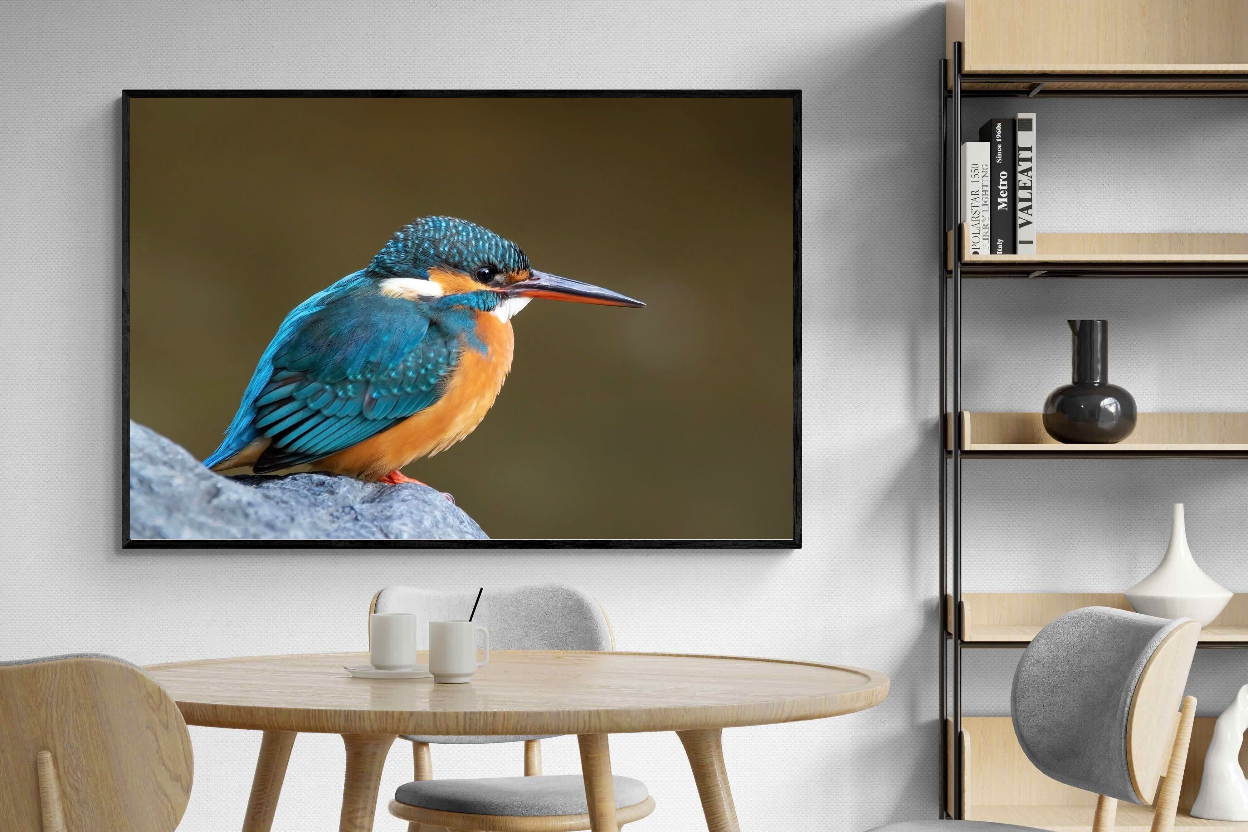 Pixalot Common Kingfisher