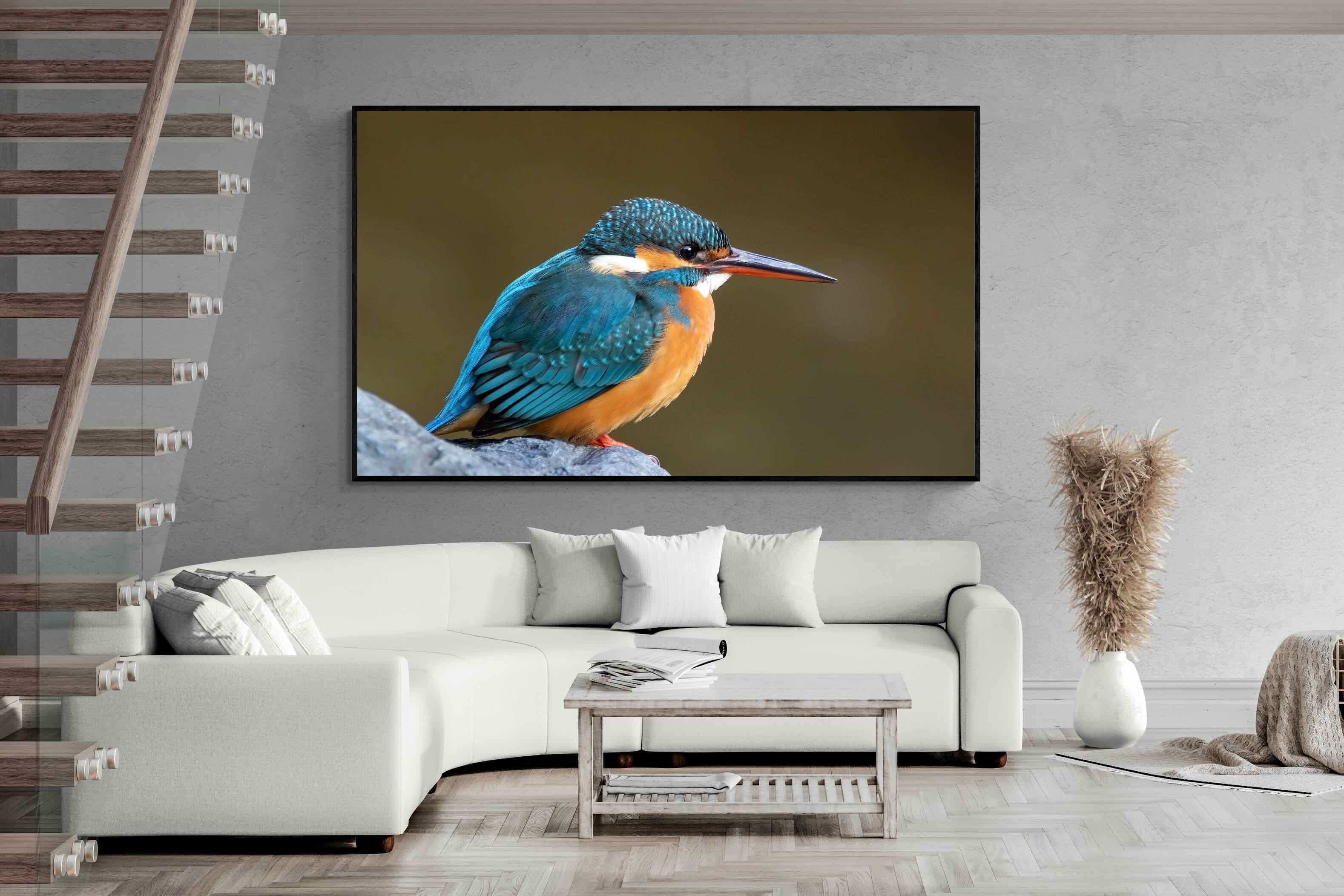 Pixalot Common Kingfisher