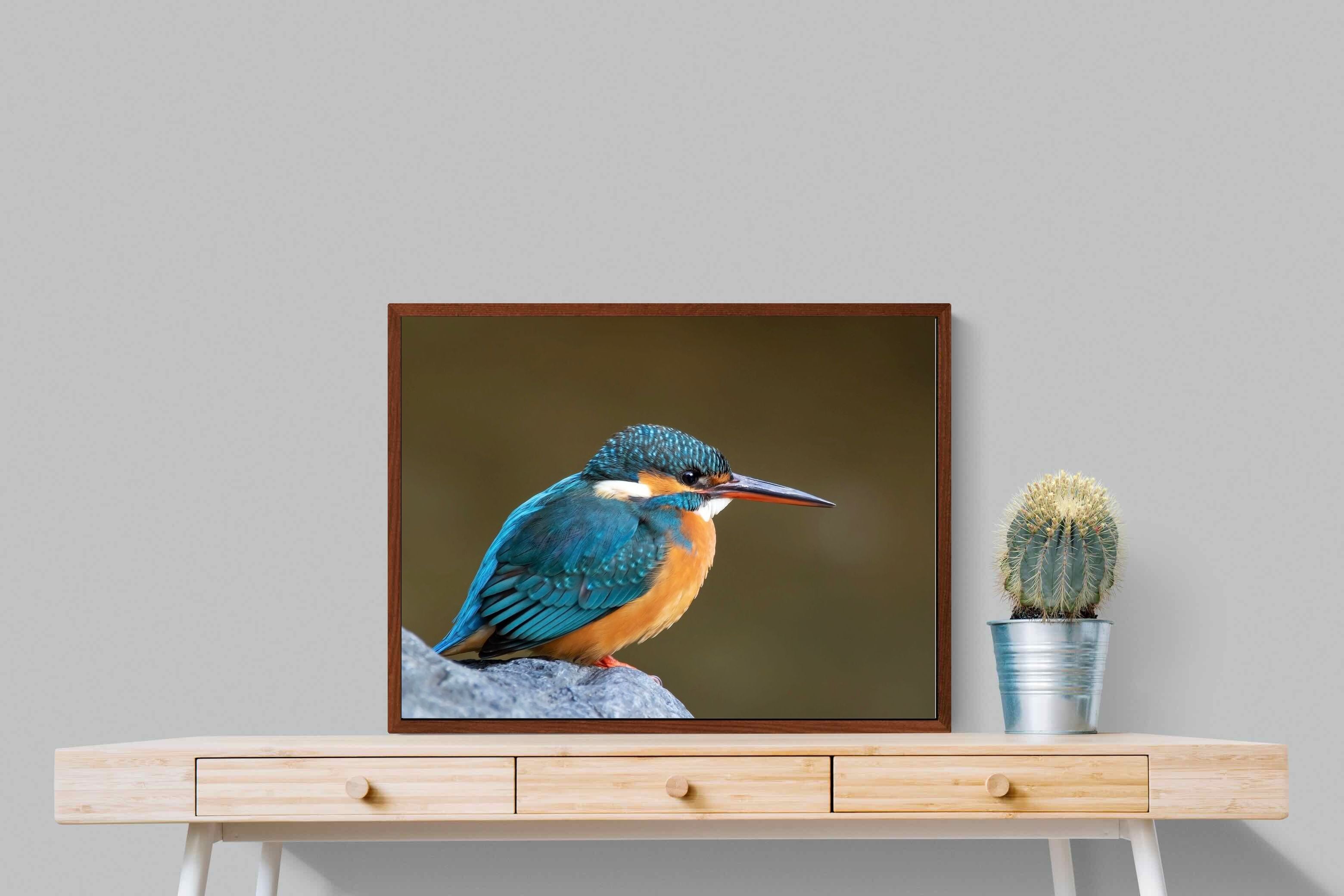 Pixalot Common Kingfisher