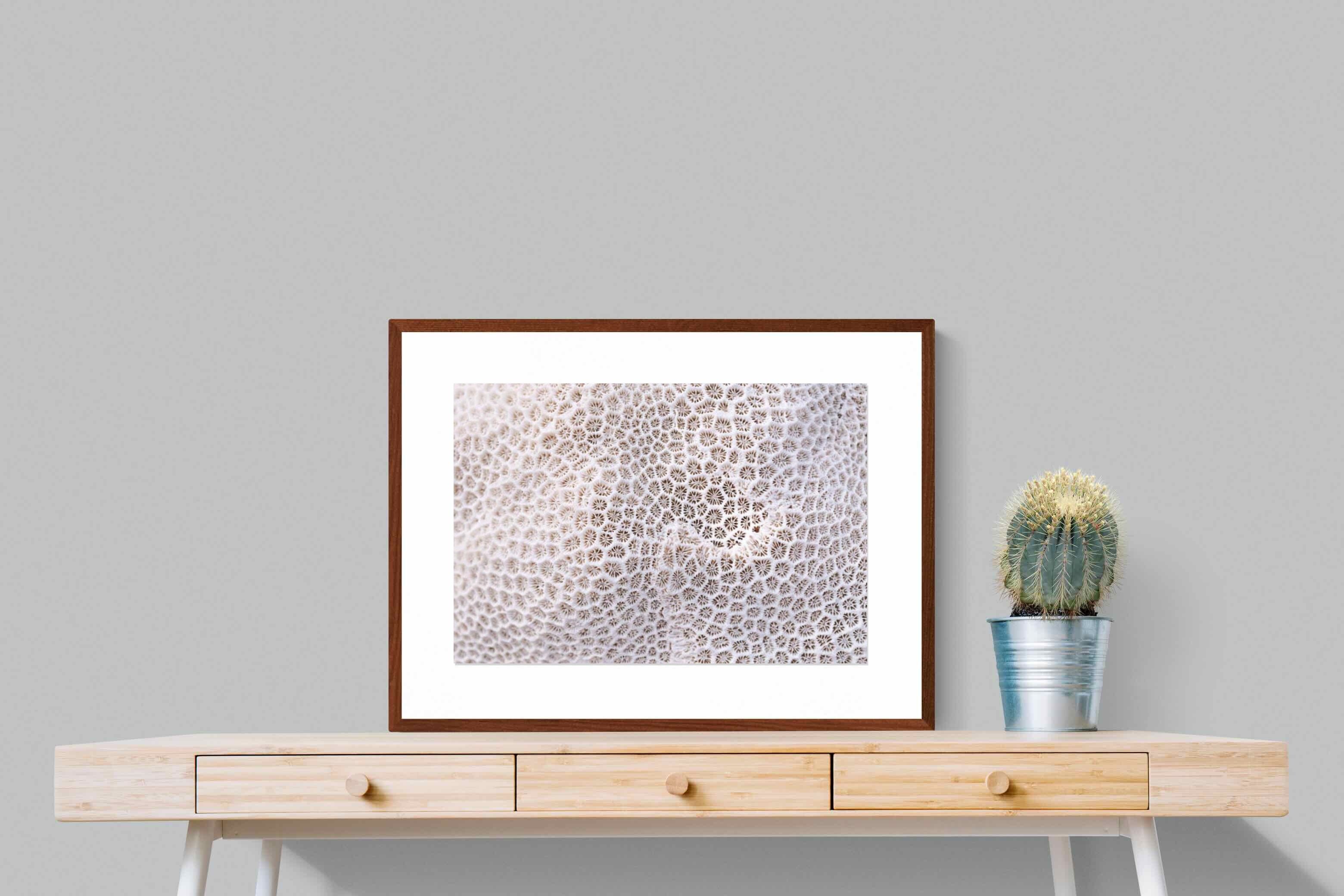 Pixalot ® Coral