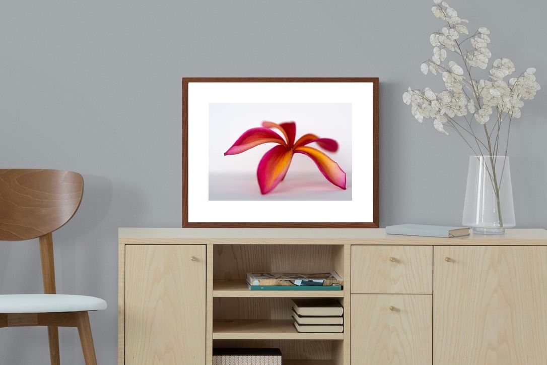 Pixalot ® Crimson Flora